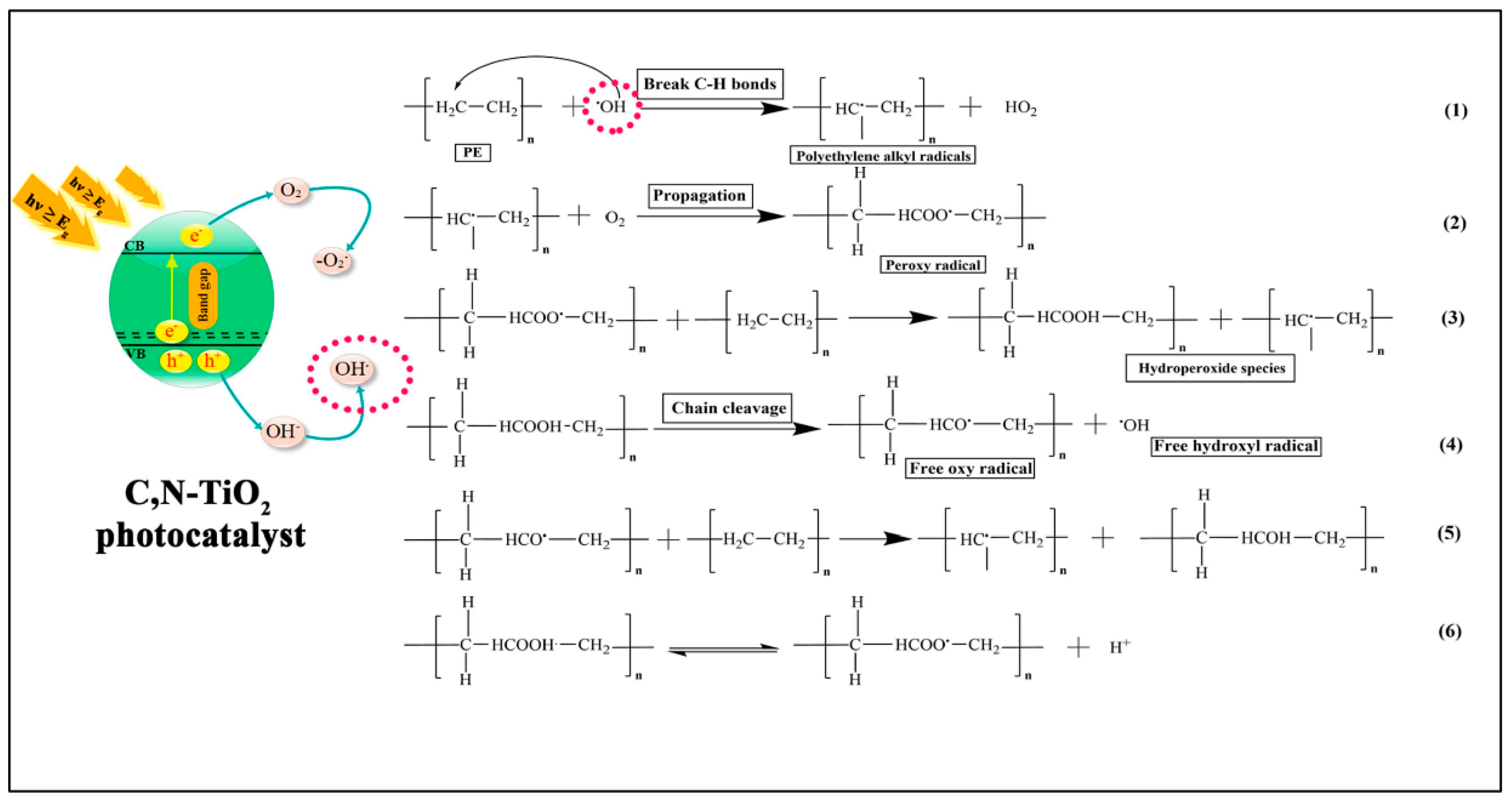 Catalysts 13 00846 g002 Catalysts 13 00846 g002