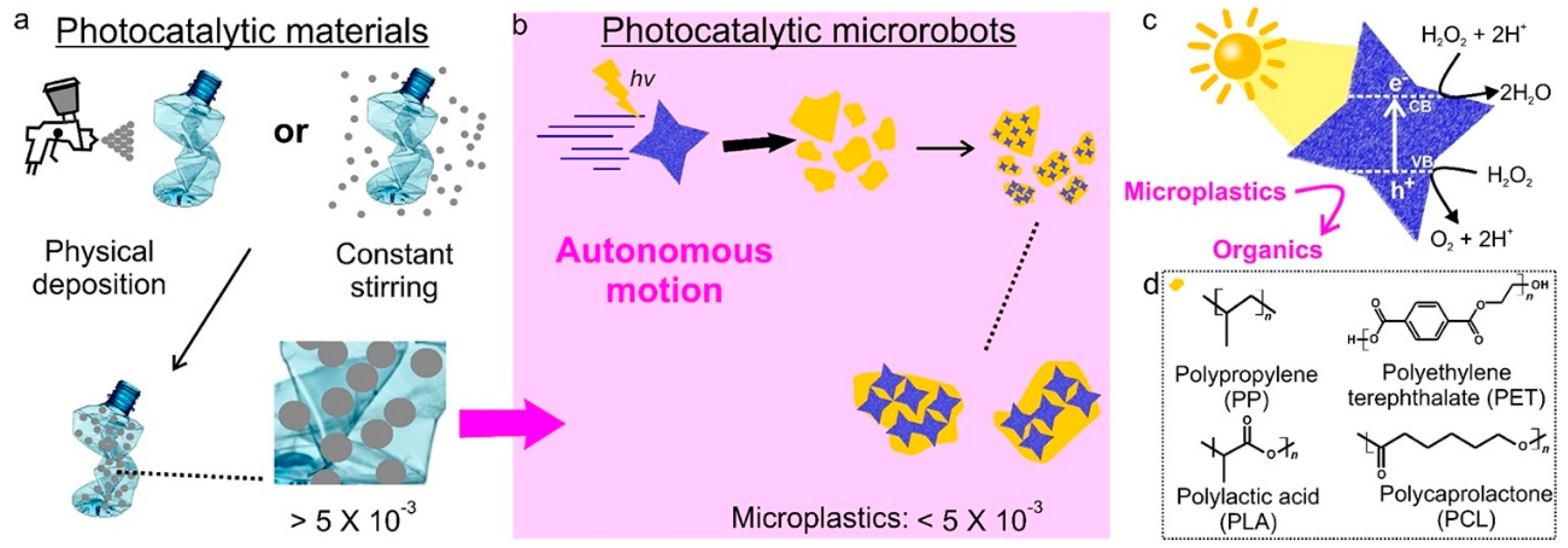 Catalysts 13 00846 g006 Catalysts 13 00846 g006