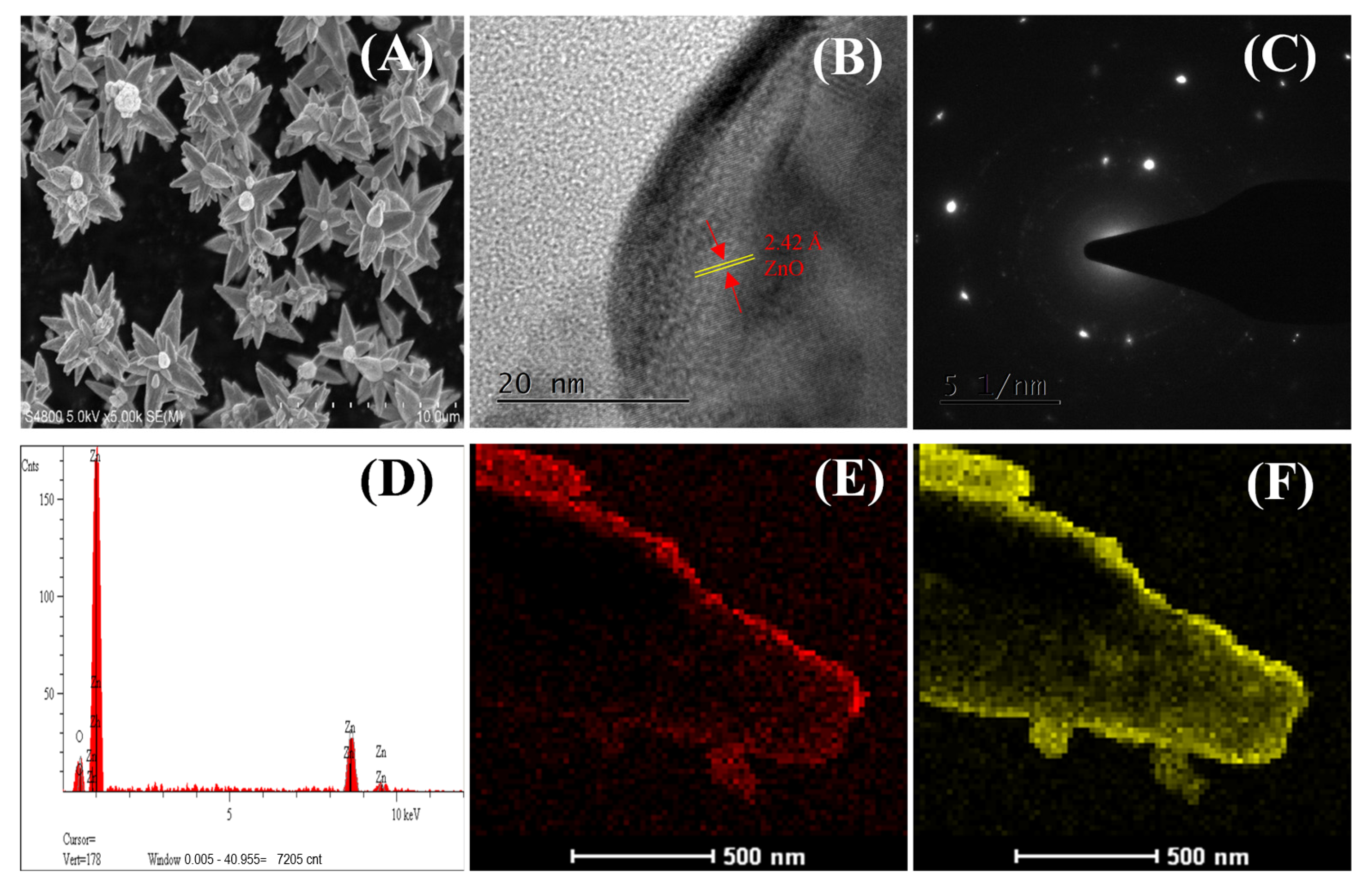 Catalysts 13 00847 g001