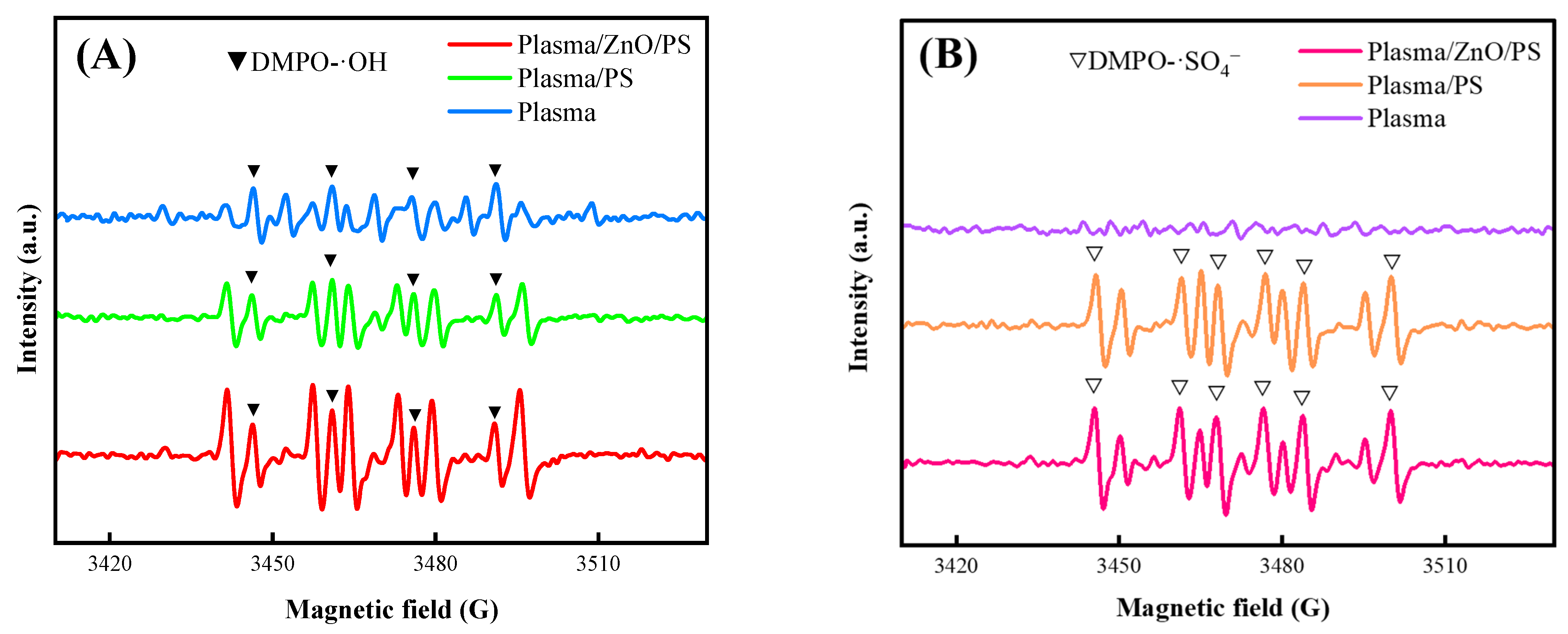 Catalysts 13 00847 g007