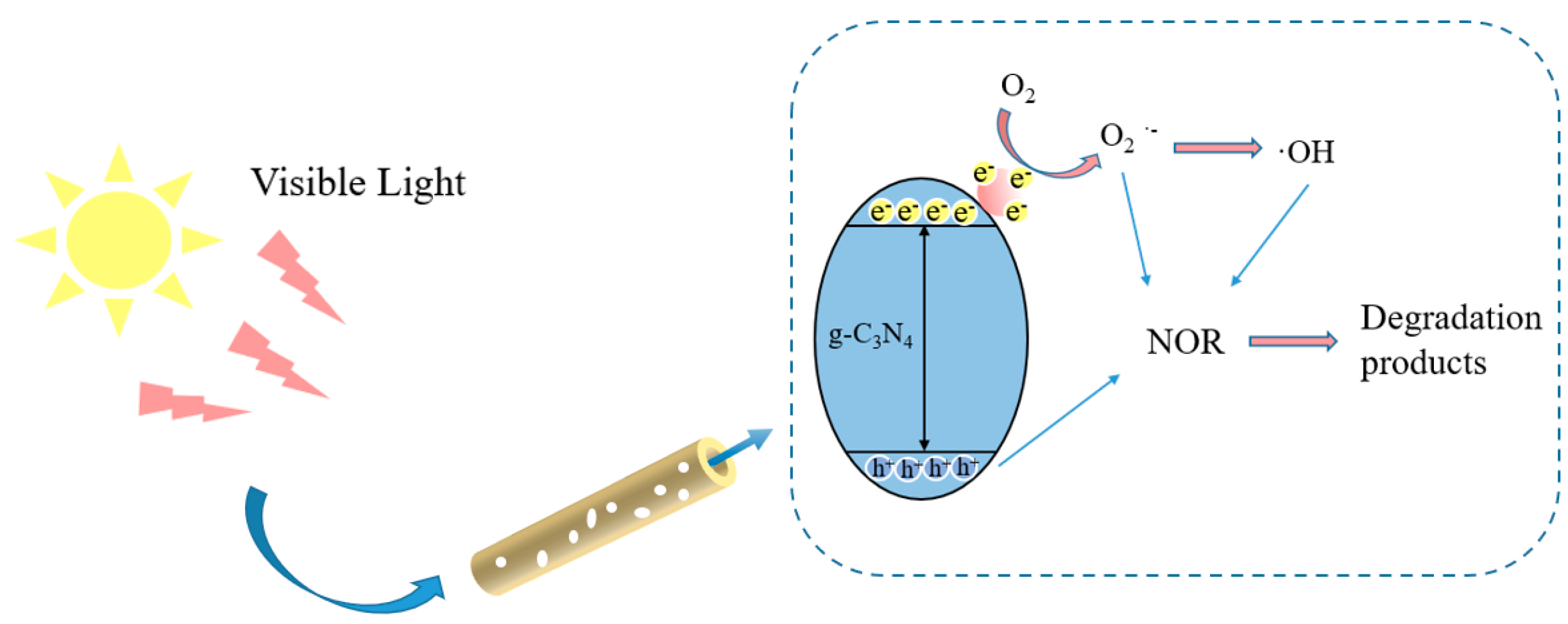 Catalysts 13 00848 sch002 Catalysts 13 00848 sch002