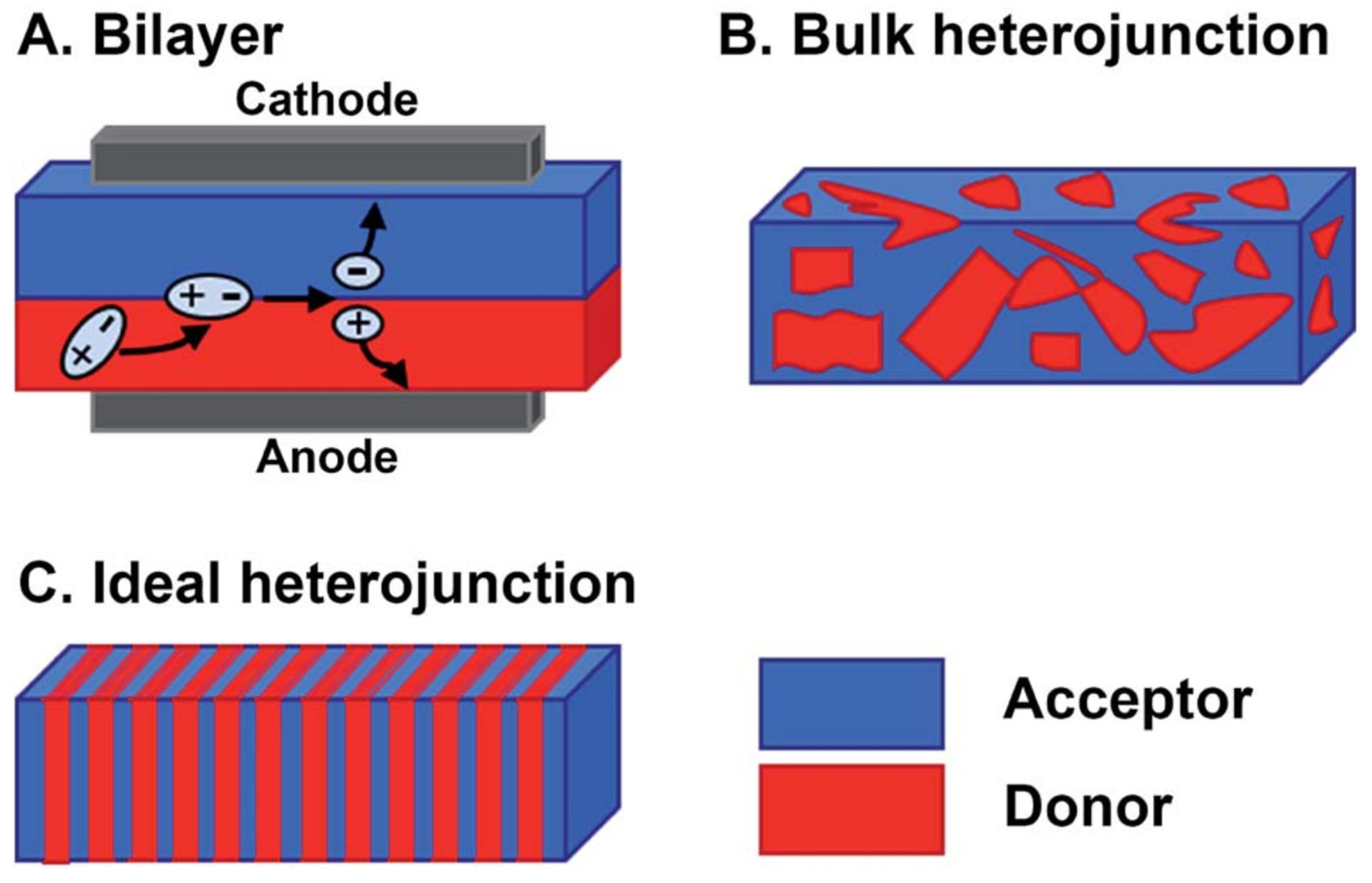 Catalysts 13 00850 g001