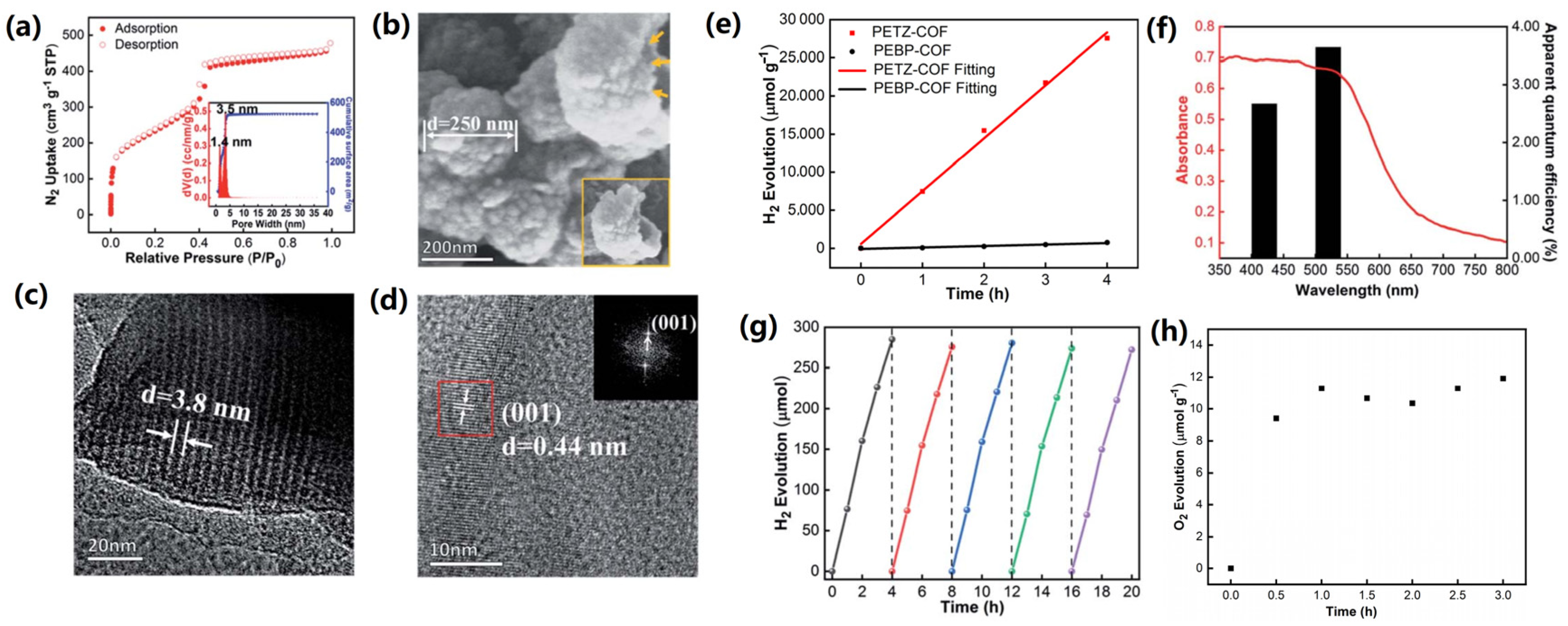 Catalysts 13 00850 g008