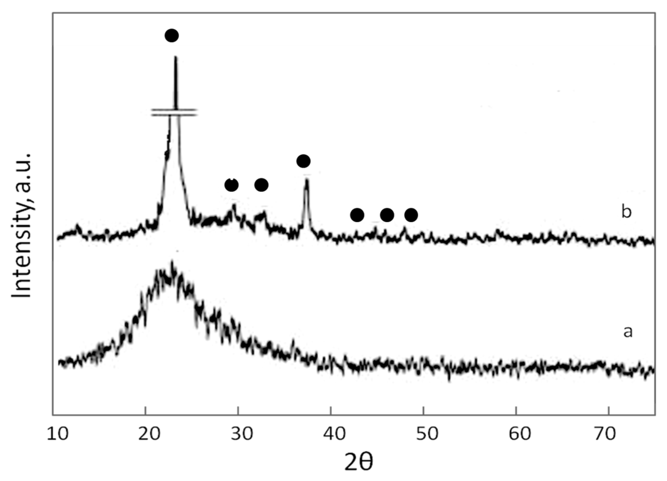 Catalysts 13 00856 g002