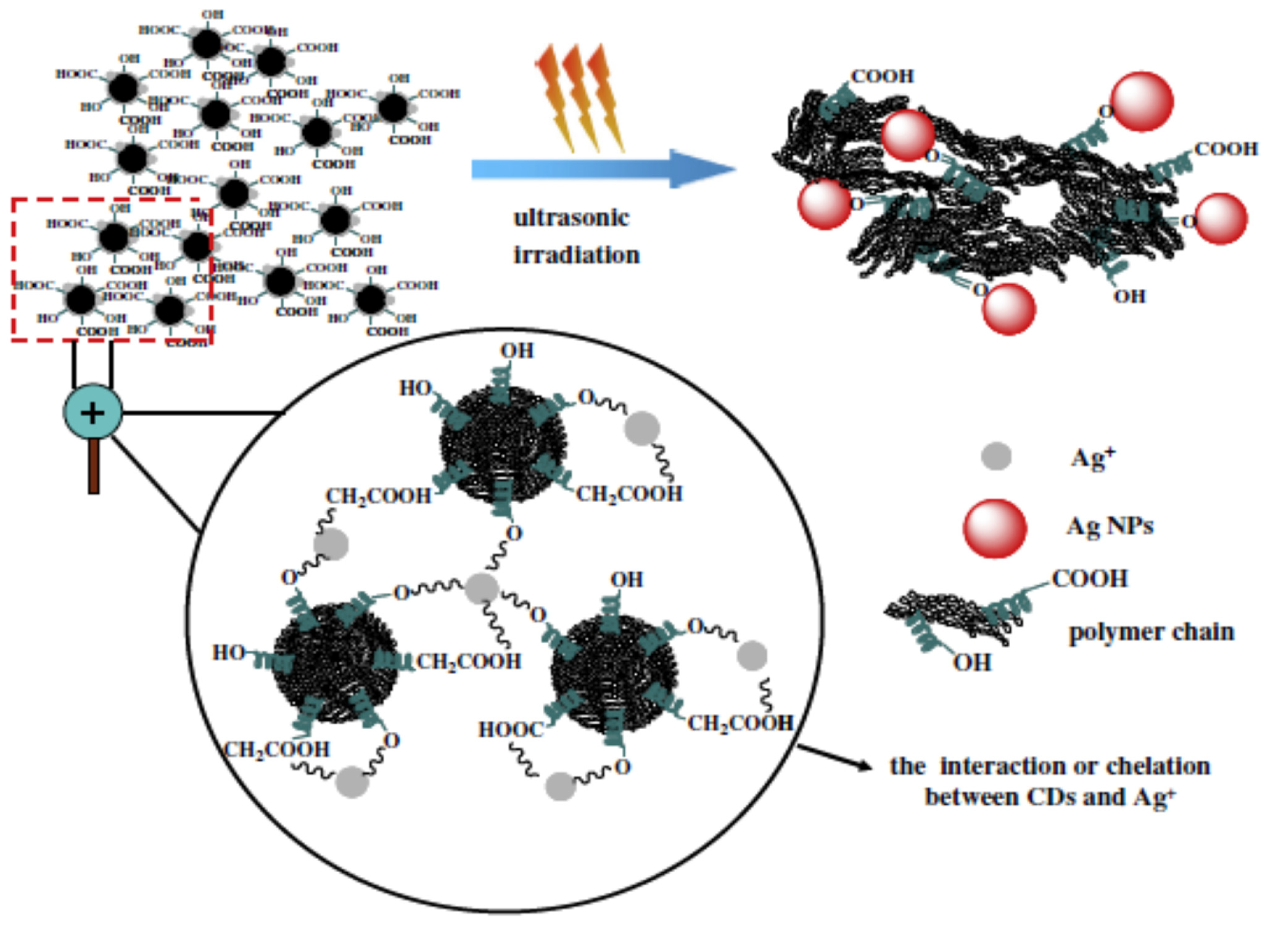 Catalysts 13 00858 sch001