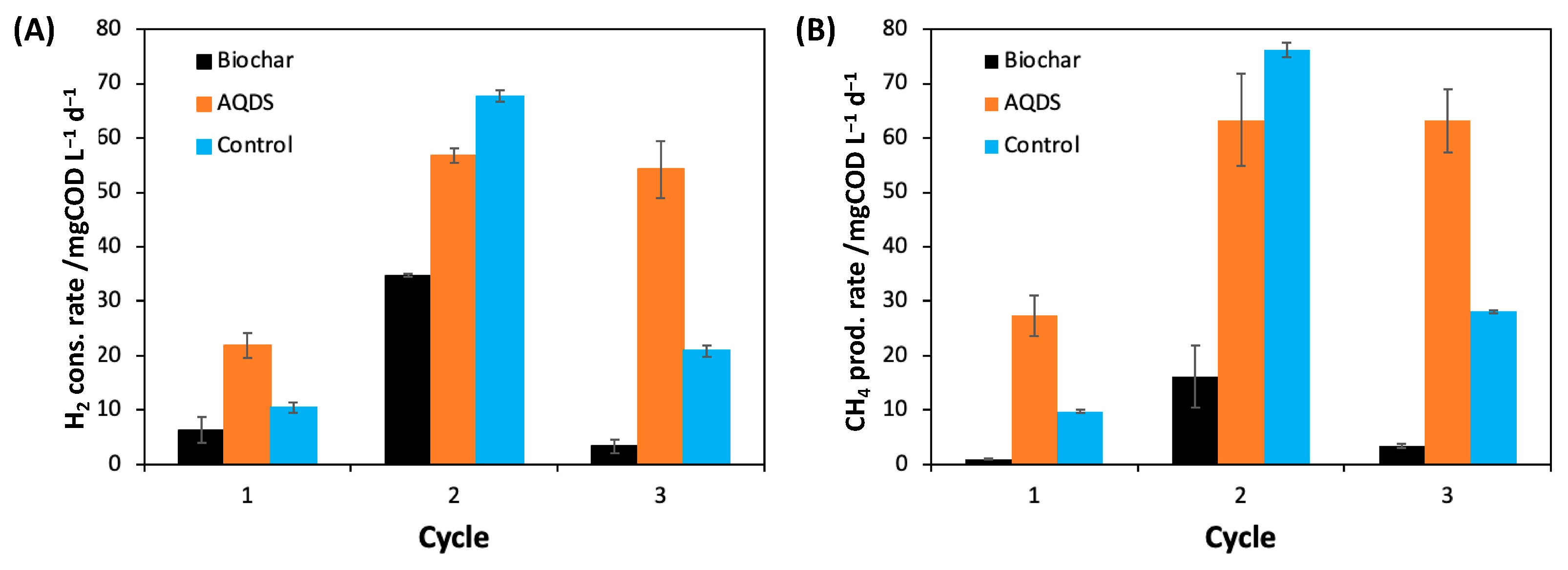 Catalysts 13 00859 g002