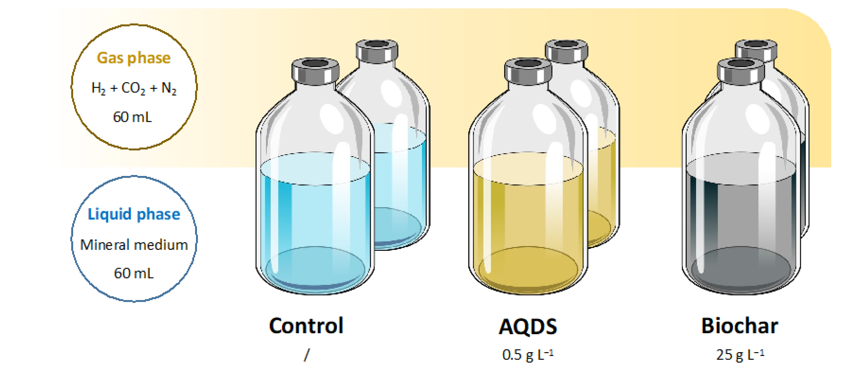 Catalysts 13 00859 g006