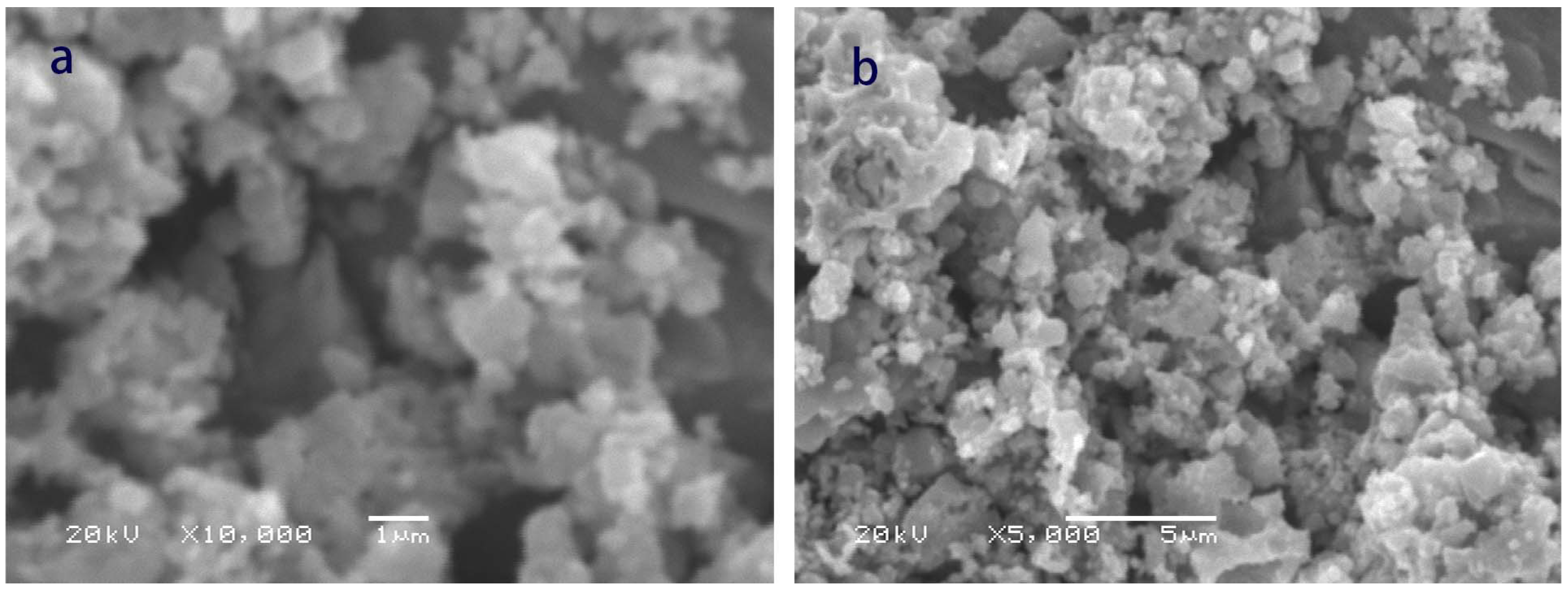 Catalysts 13 00860 g001 Catalysts 13 00860 g001