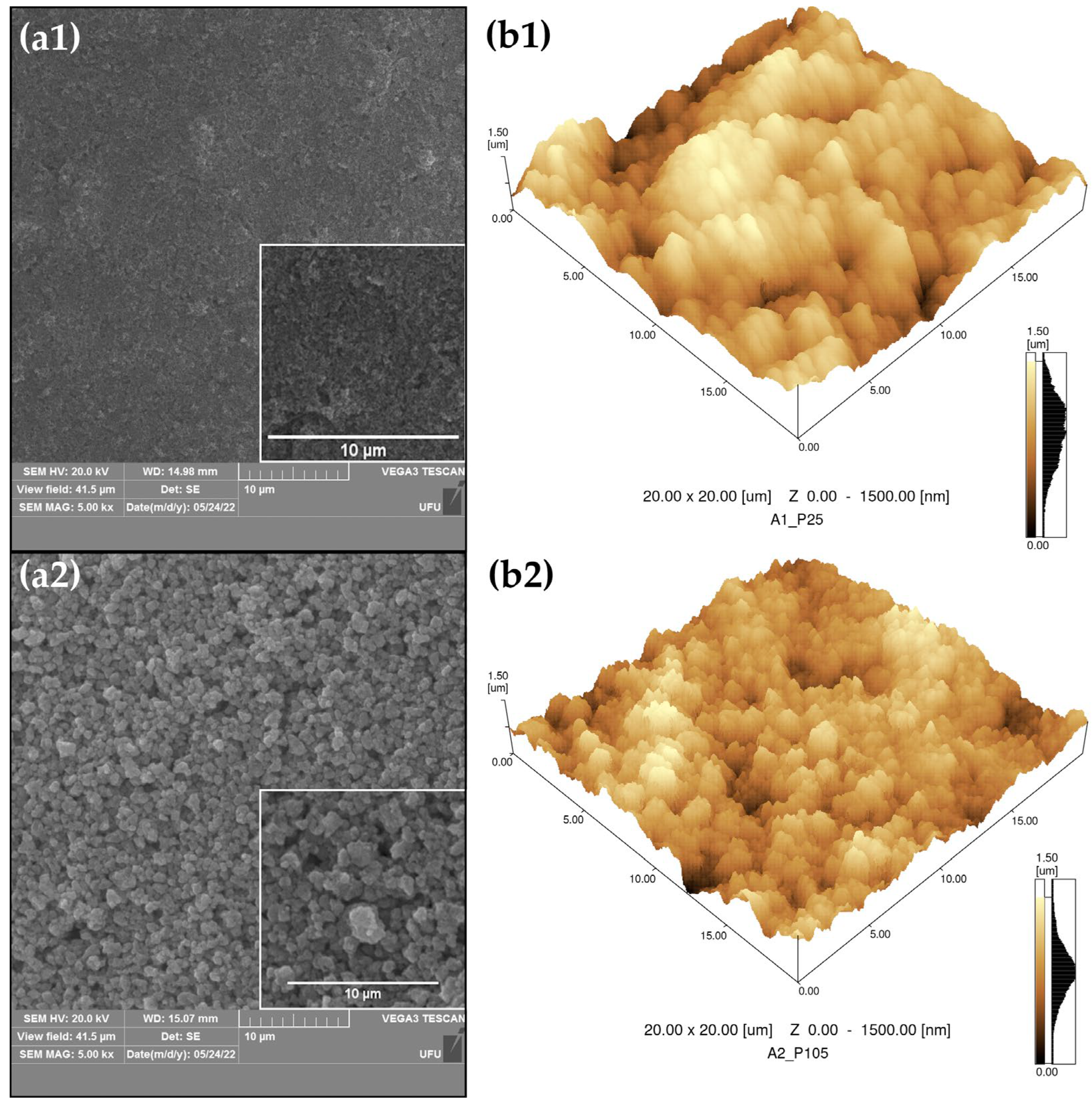 Catalysts 13 00861 g003