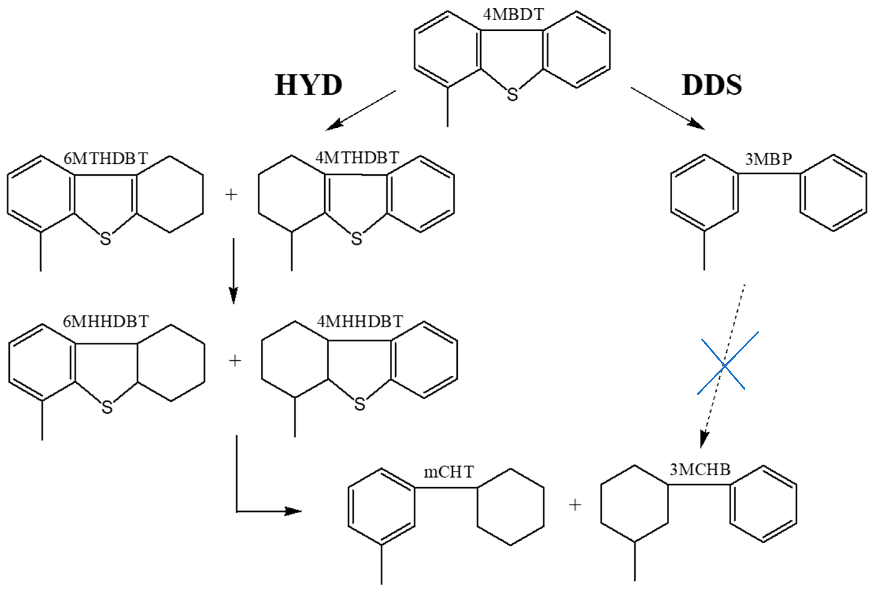 Catalysts 13 00862 g004