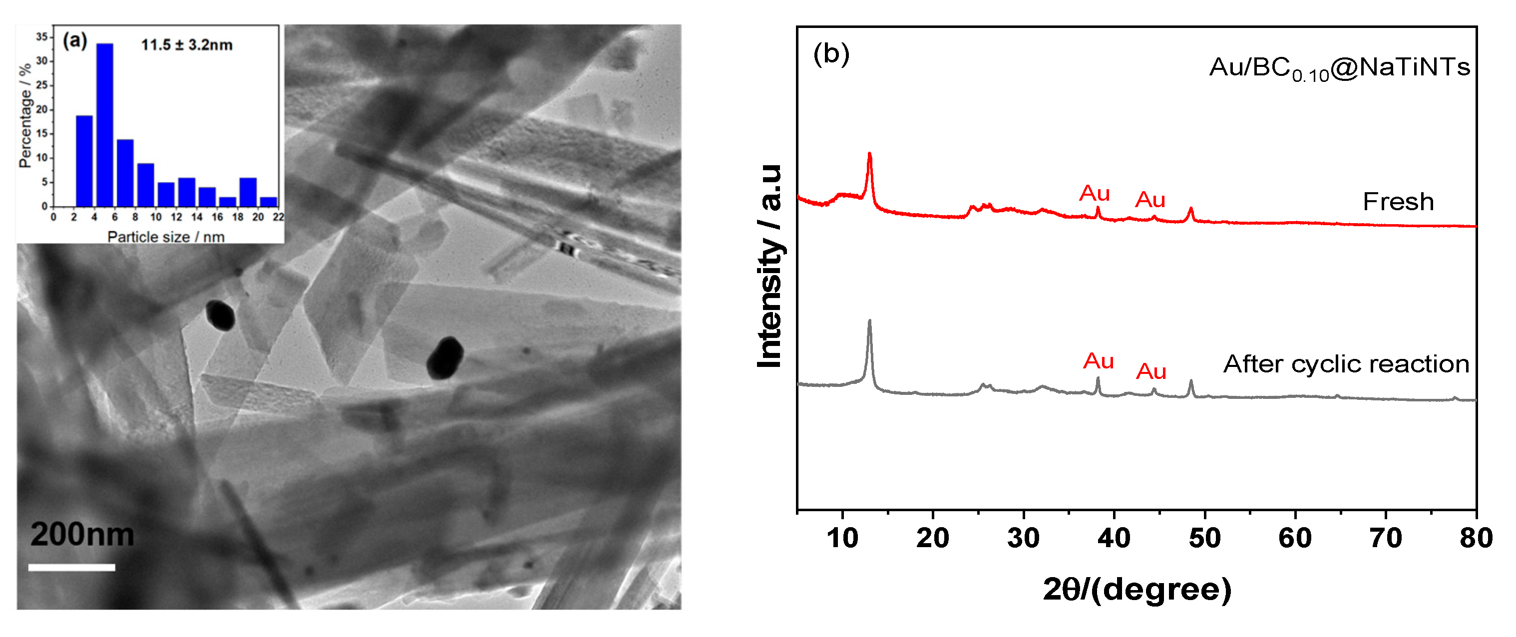 Catalysts 13 00864 g010 Catalysts 13 00864 g010