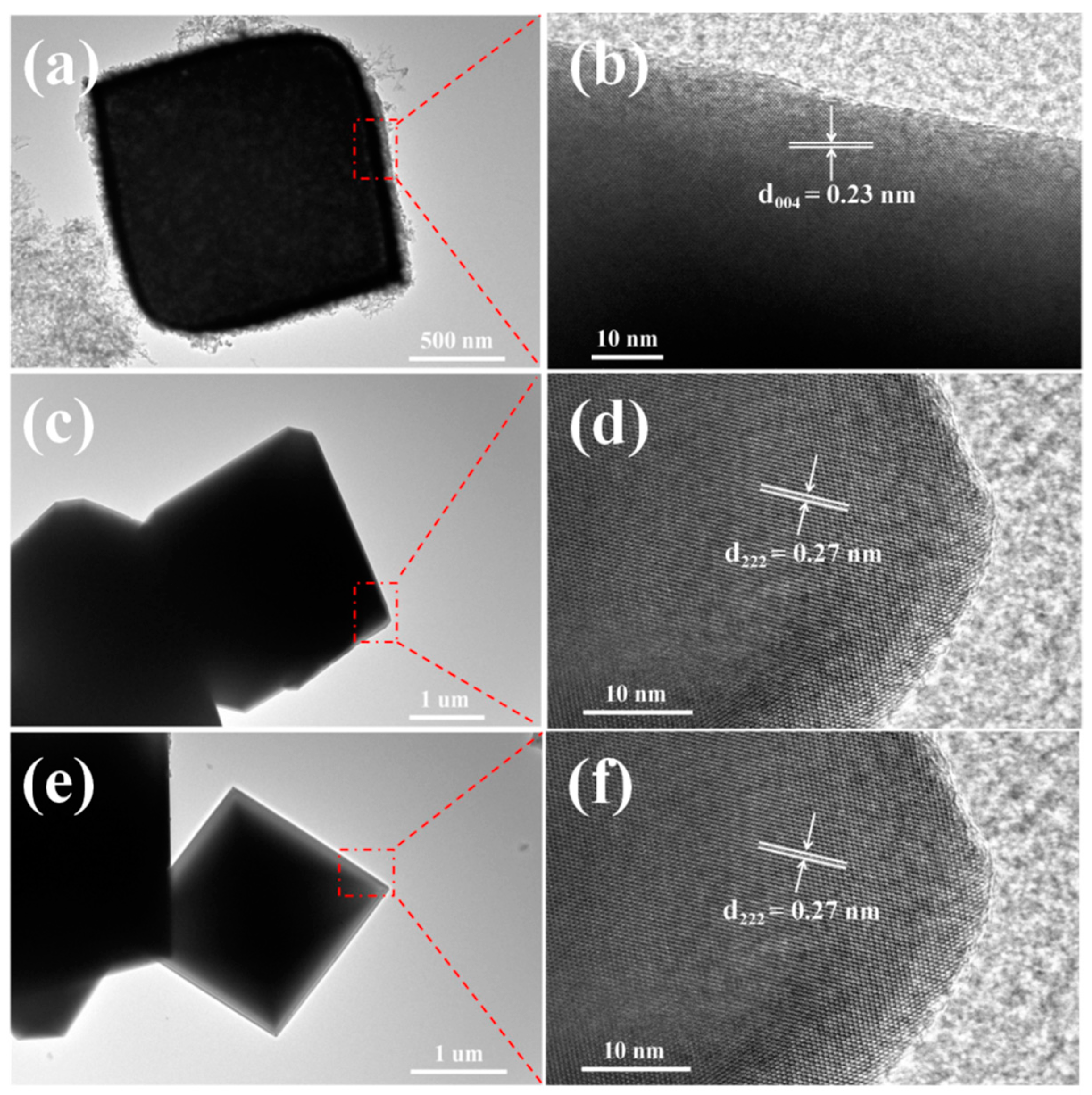 Catalysts 13 00865 g003