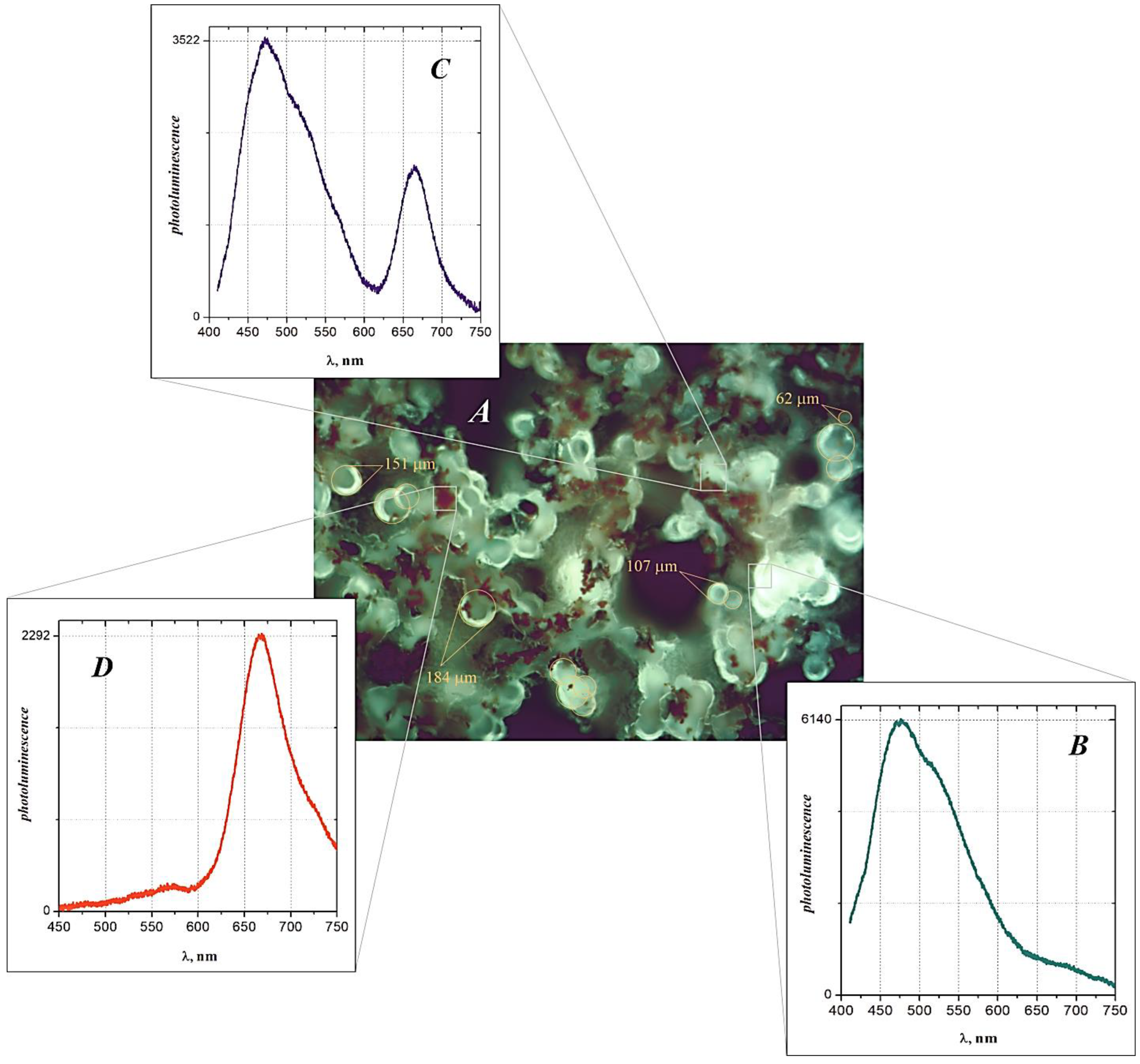 Catalysts 13 00874 g007 Catalysts 13 00874 g007