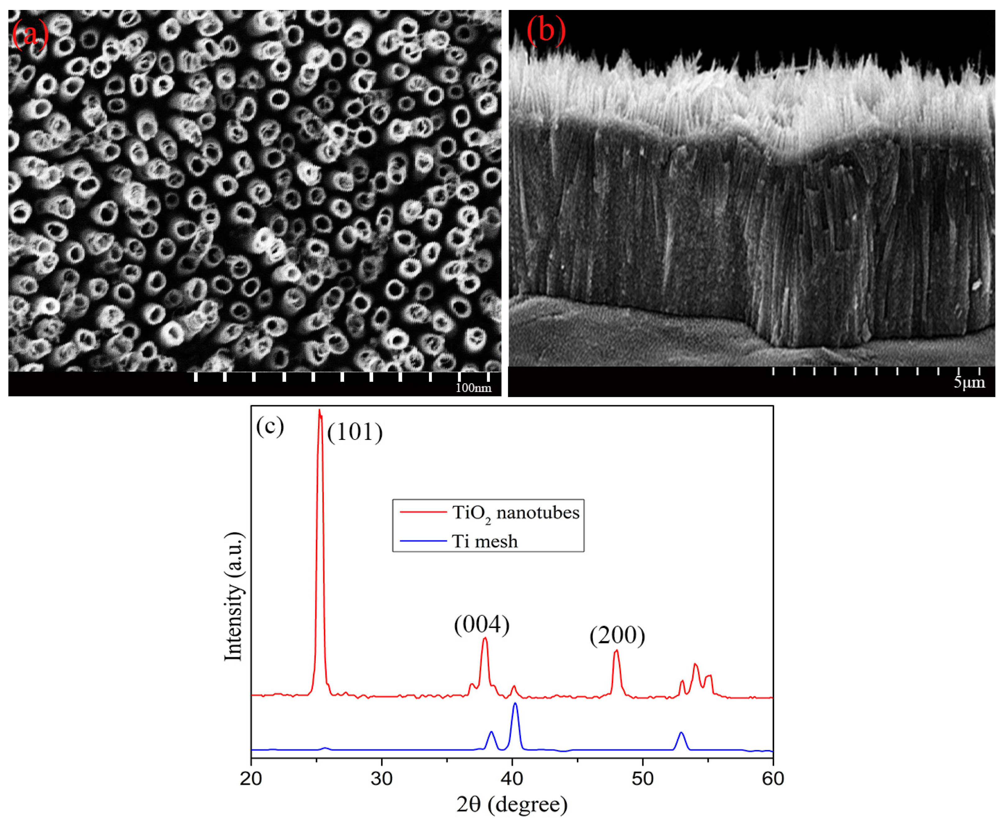 Catalysts 13 00877 g003