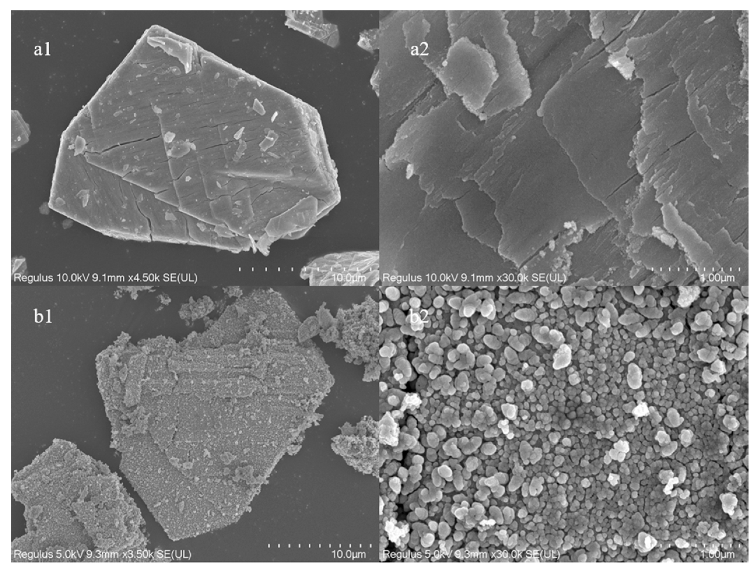 Catalysts 13 00878 g004