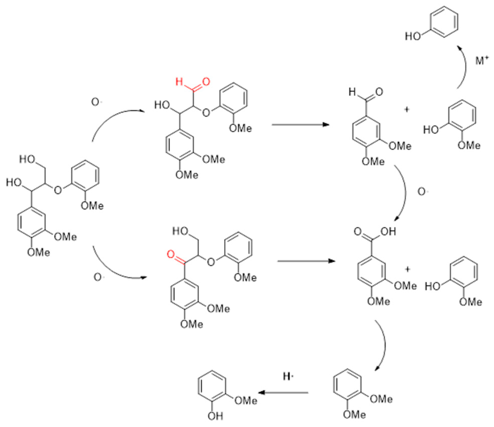 Catalysts 13 00878 g012