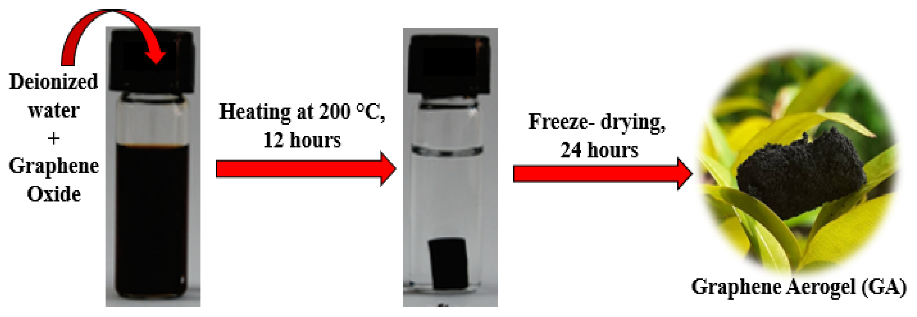 Catalysts 13 00879 g005 Catalysts 13 00879 g005