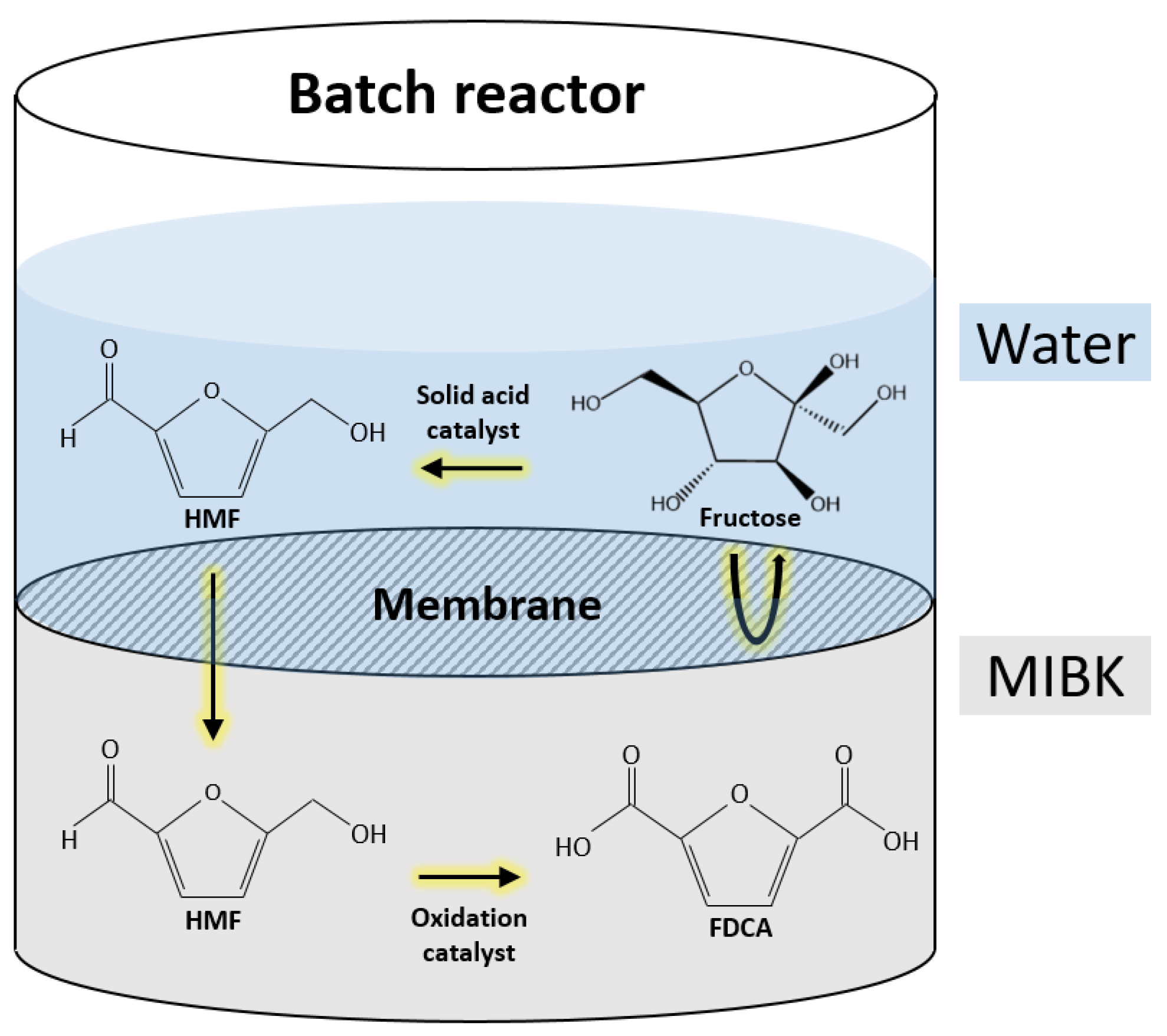 Catalysts 13 00880 g003 Catalysts 13 00880 g003