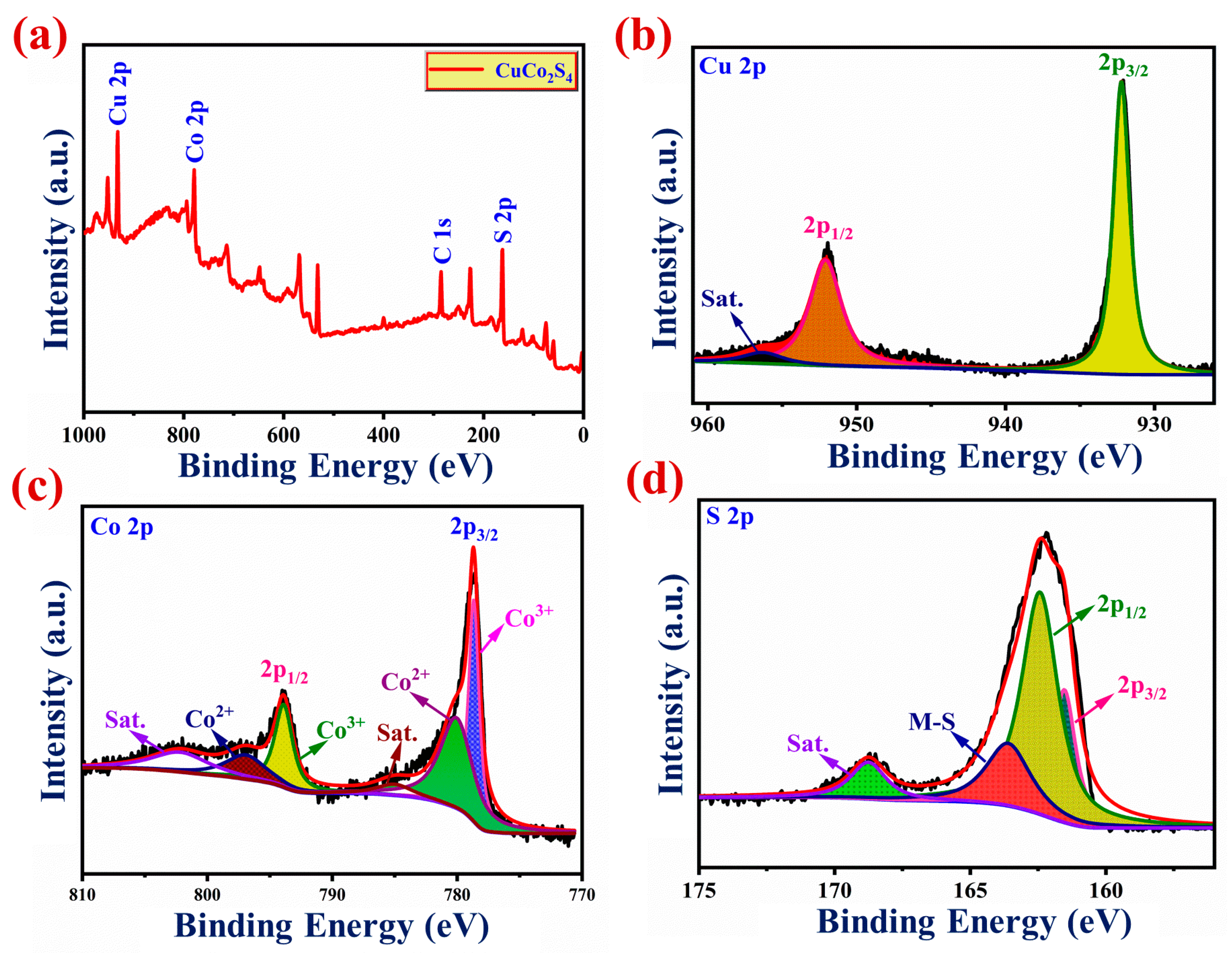 Catalysts 13 00881 g005