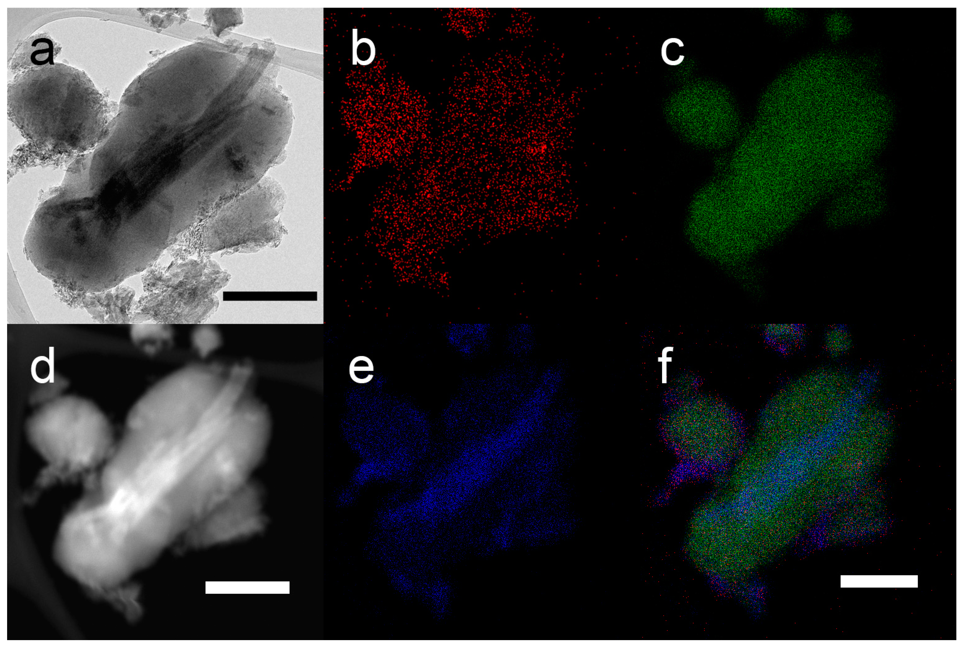 Catalysts 13 00882 g005 Catalysts 13 00882 g005
