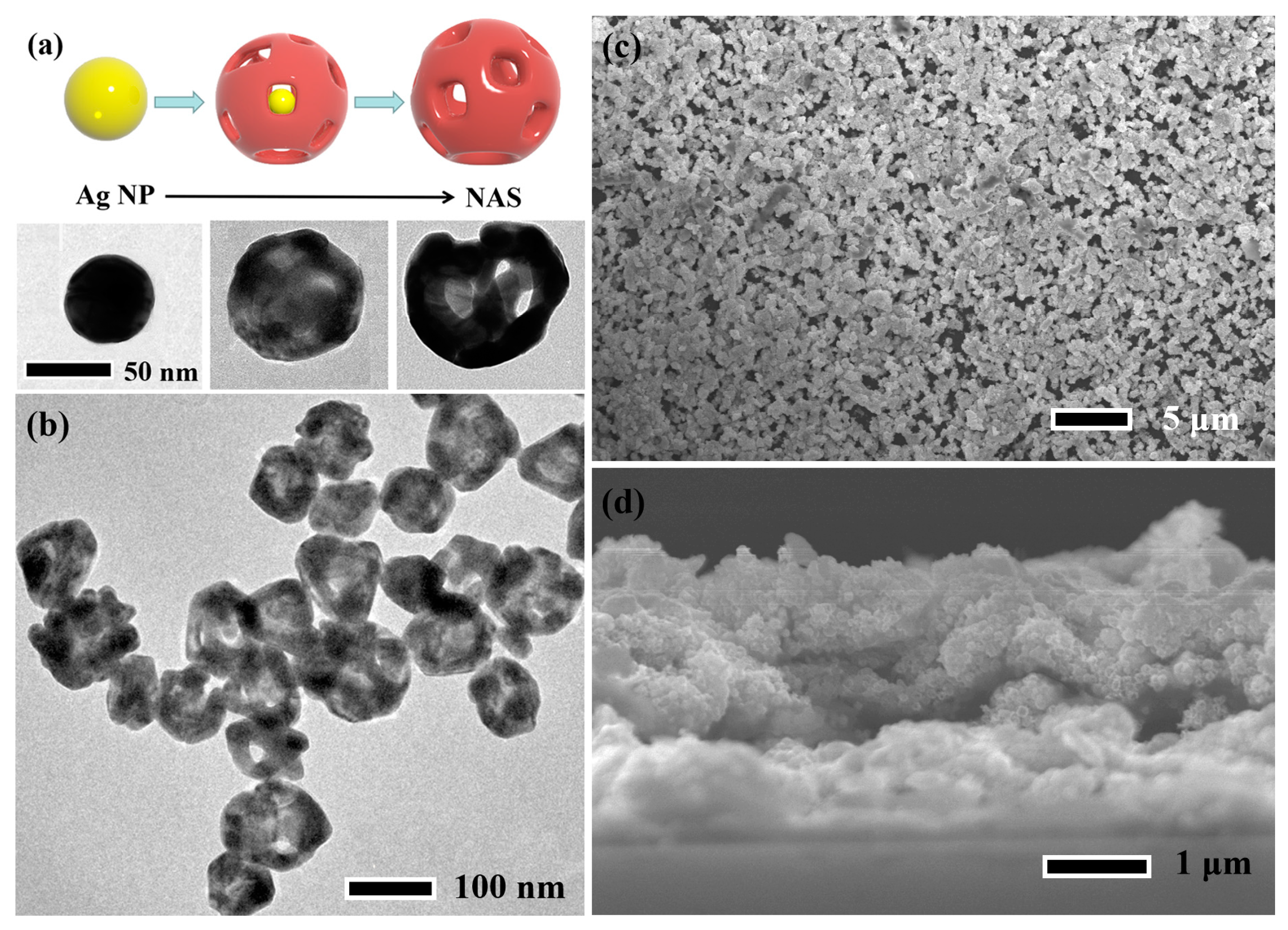 Catalysts 13 00883 g001 Catalysts 13 00883 g001