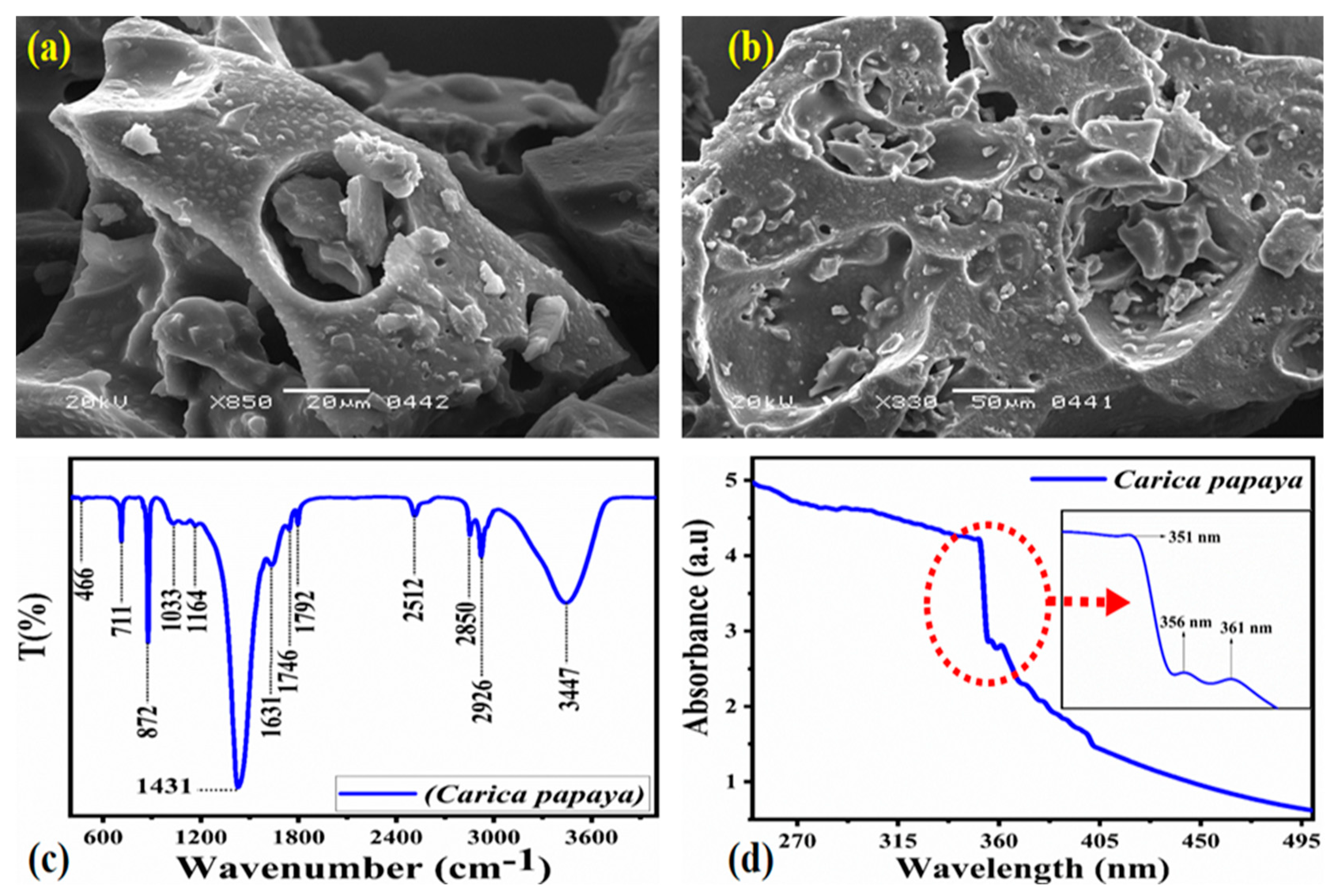 Catalysts 13 00886 g001 Catalysts 13 00886 g001