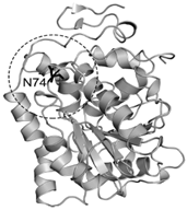 Catalysts 13 00887 i001 Catalysts 13 00887 i001