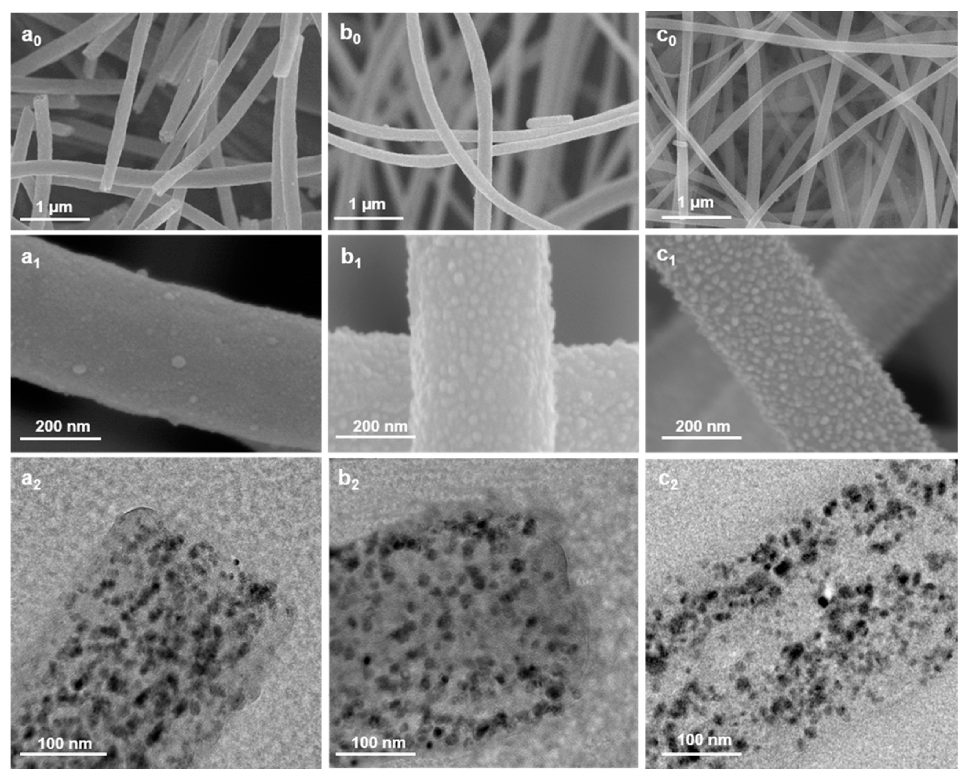 Catalysts 13 00890 g003