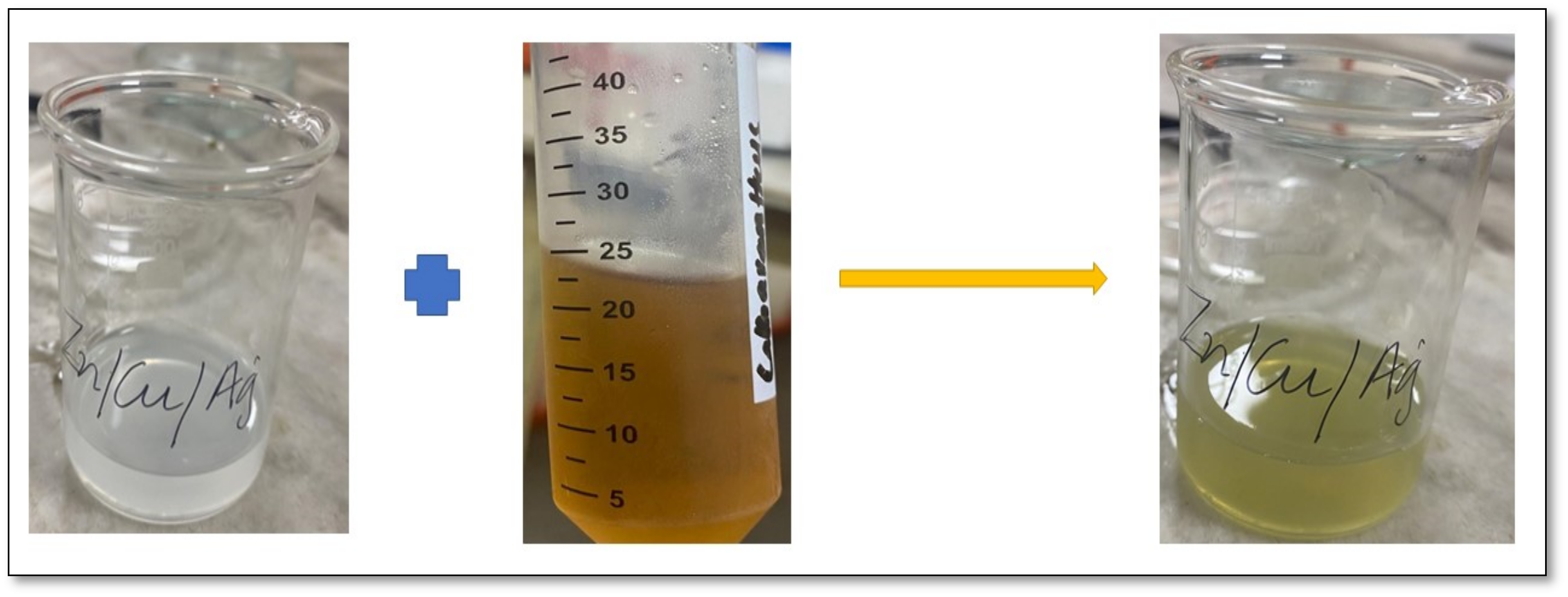 Catalysts 13 00891 g001