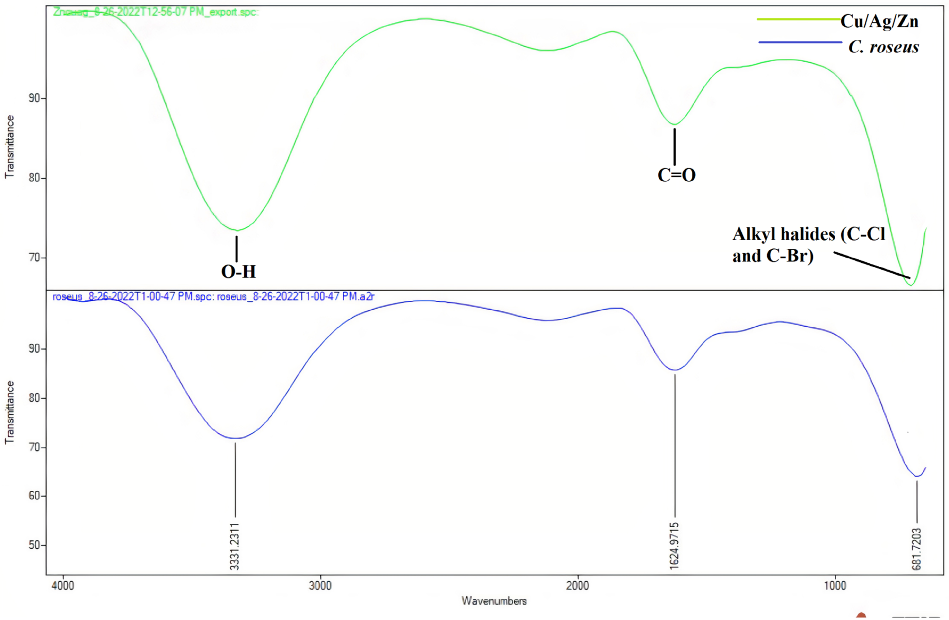 Catalysts 13 00891 g003