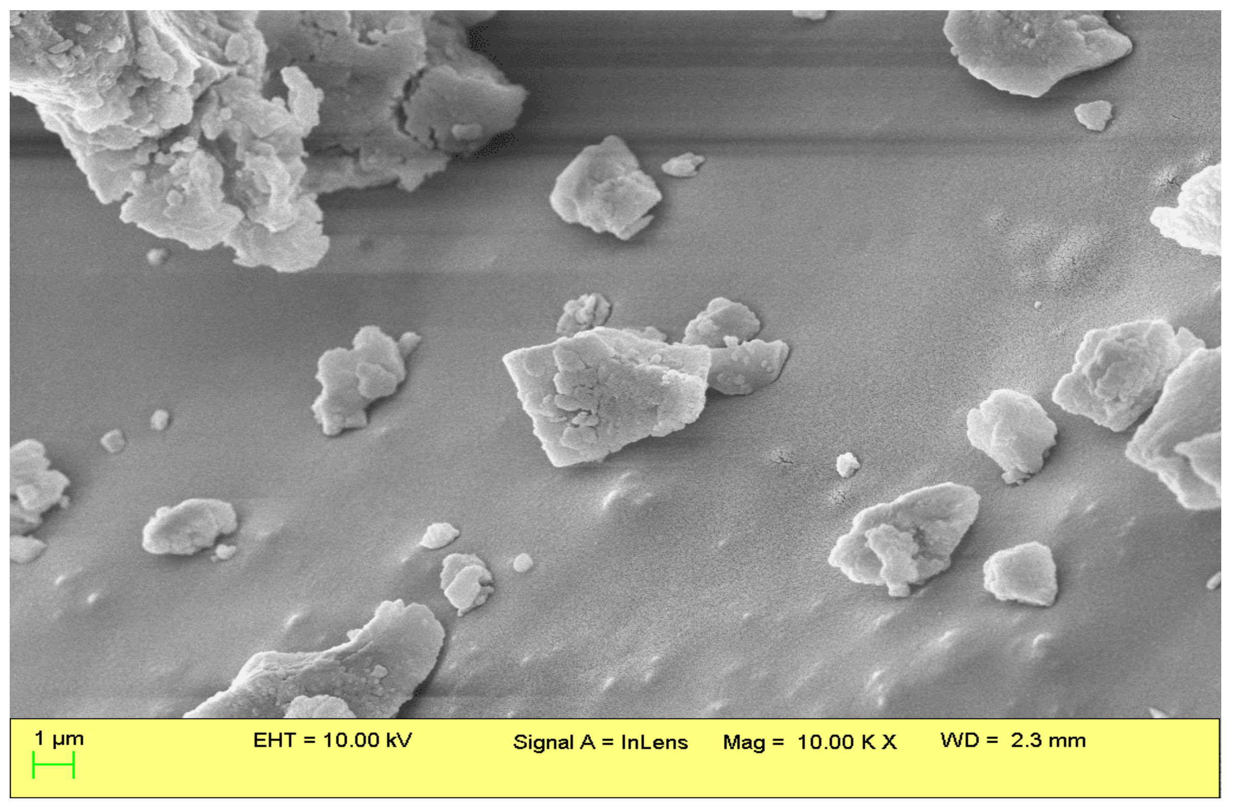 Catalysts 13 00891 g007