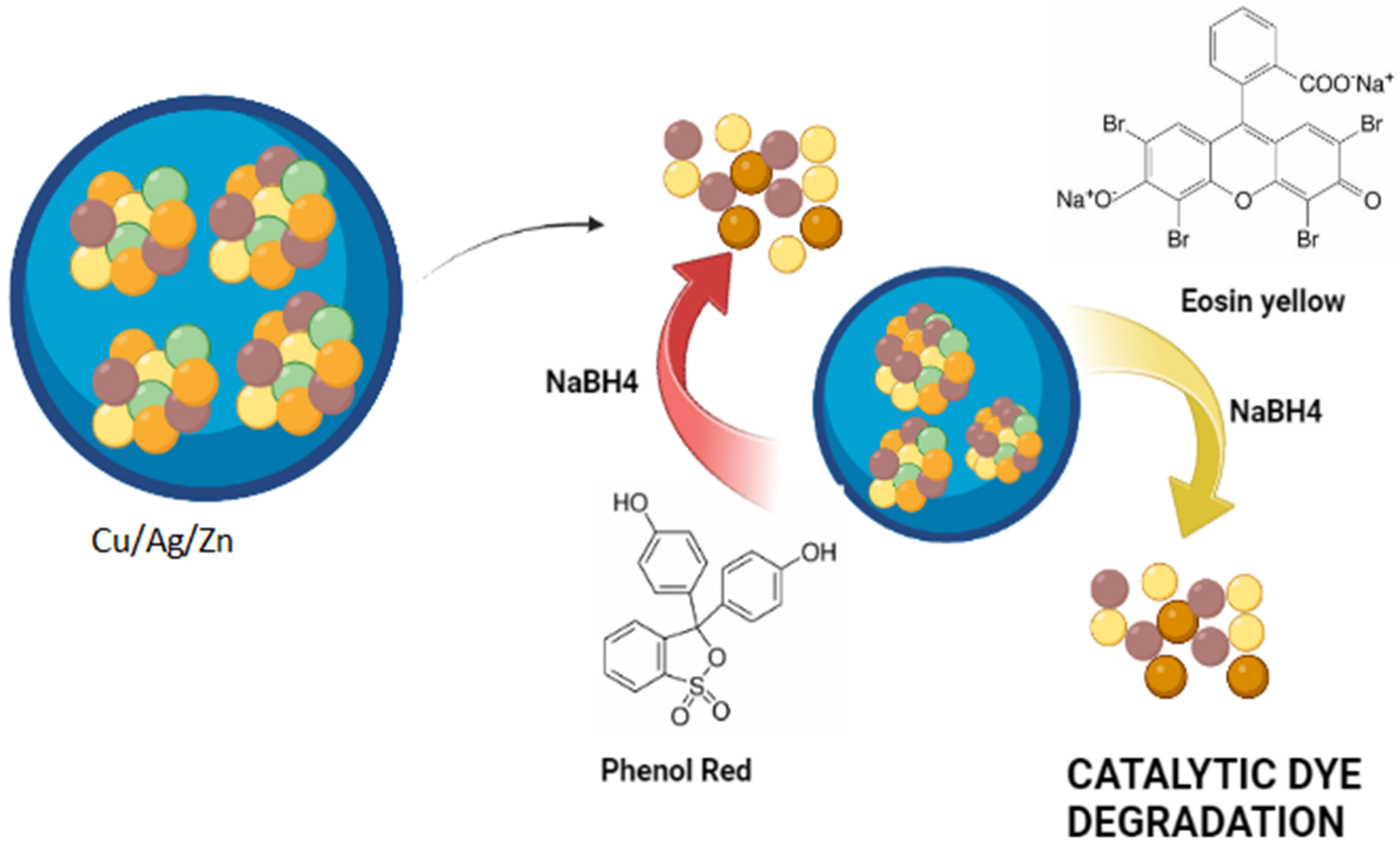 Catalysts 13 00891 g011