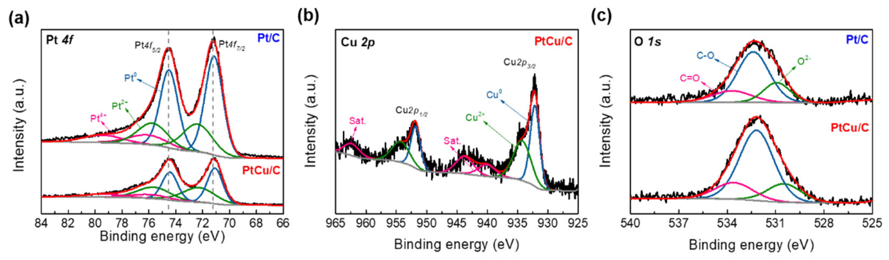Catalysts 13 00892 g003 Catalysts 13 00892 g003