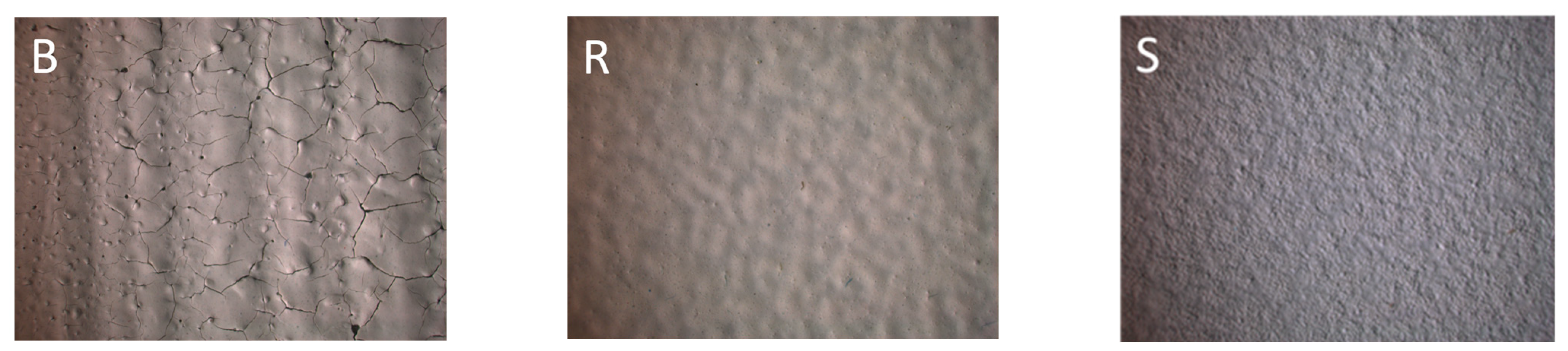 Catalysts 13 00898 g003 Catalysts 13 00898 g003