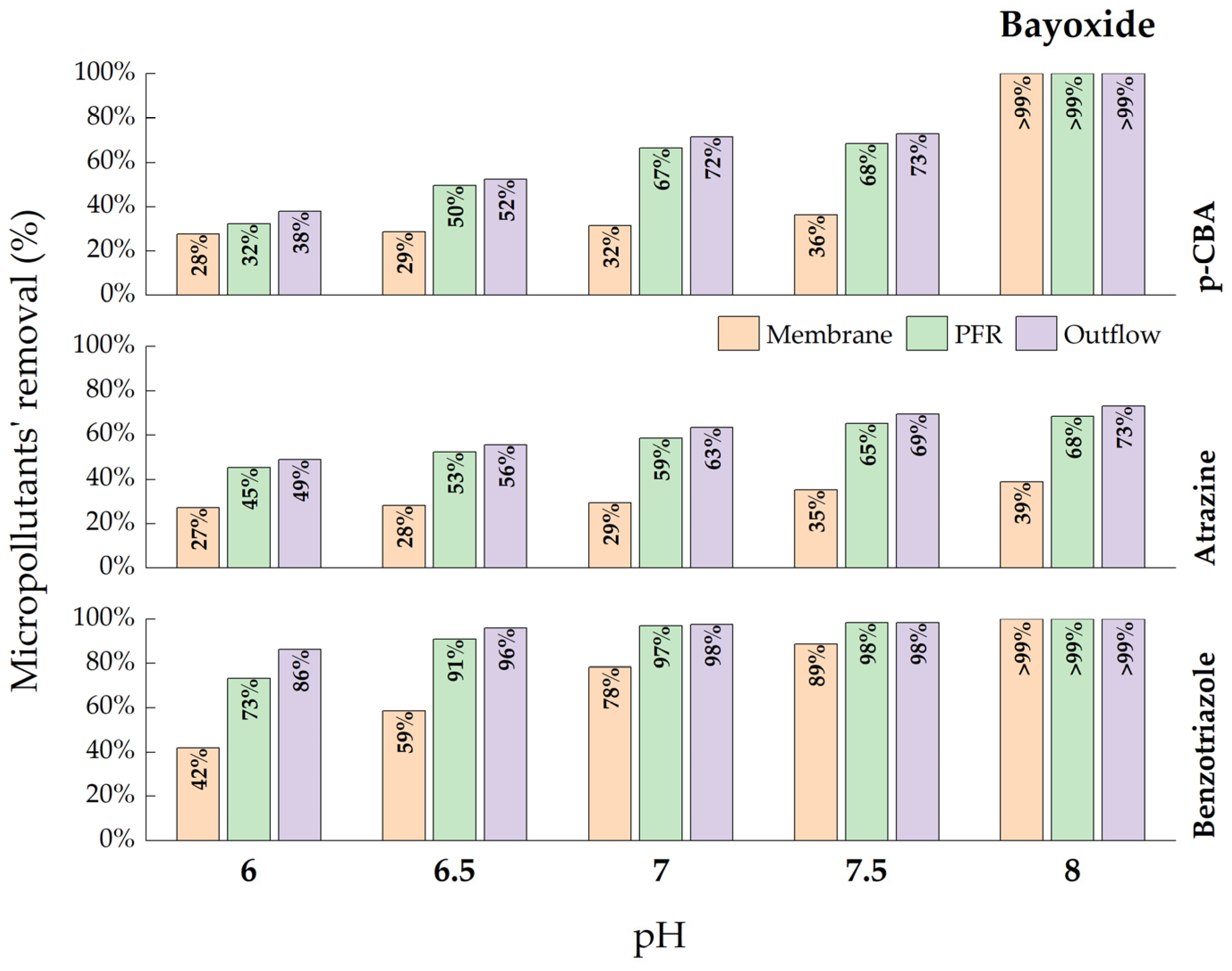 Catalysts 13 00899 g005 Catalysts 13 00899 g005