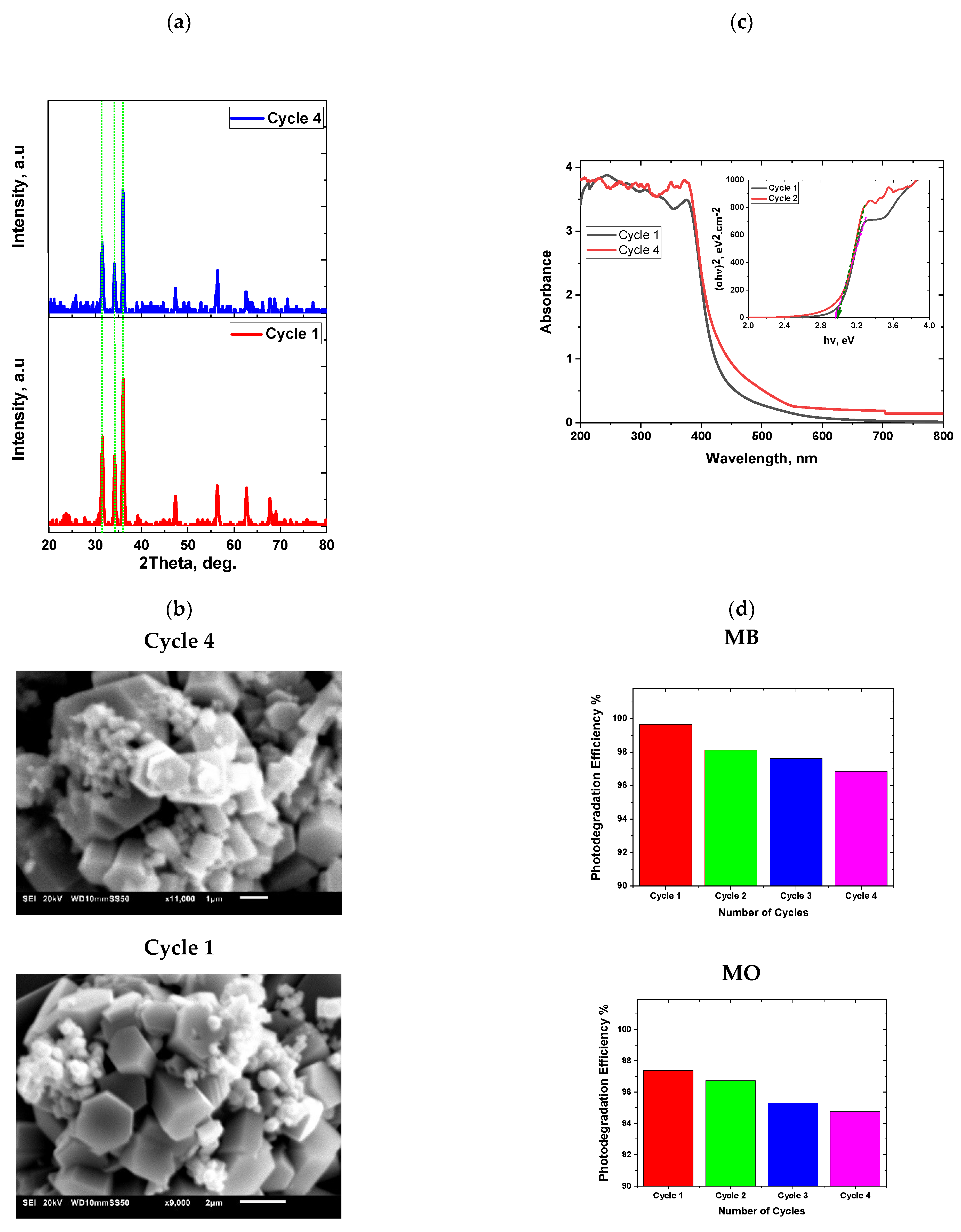 Catalysts 13 00900 g010 Catalysts 13 00900 g010