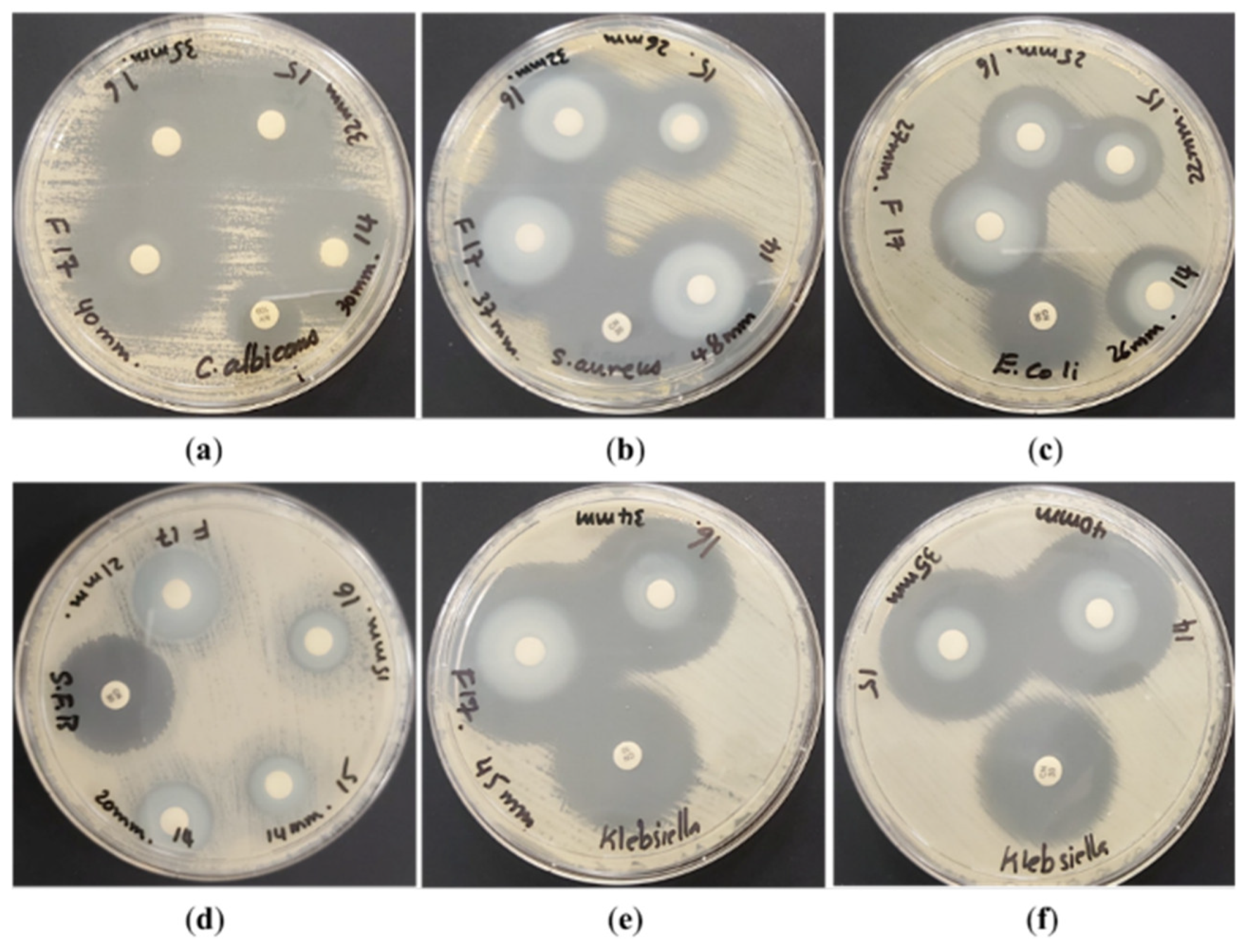 Catalysts 13 00900 g012 Catalysts 13 00900 g012