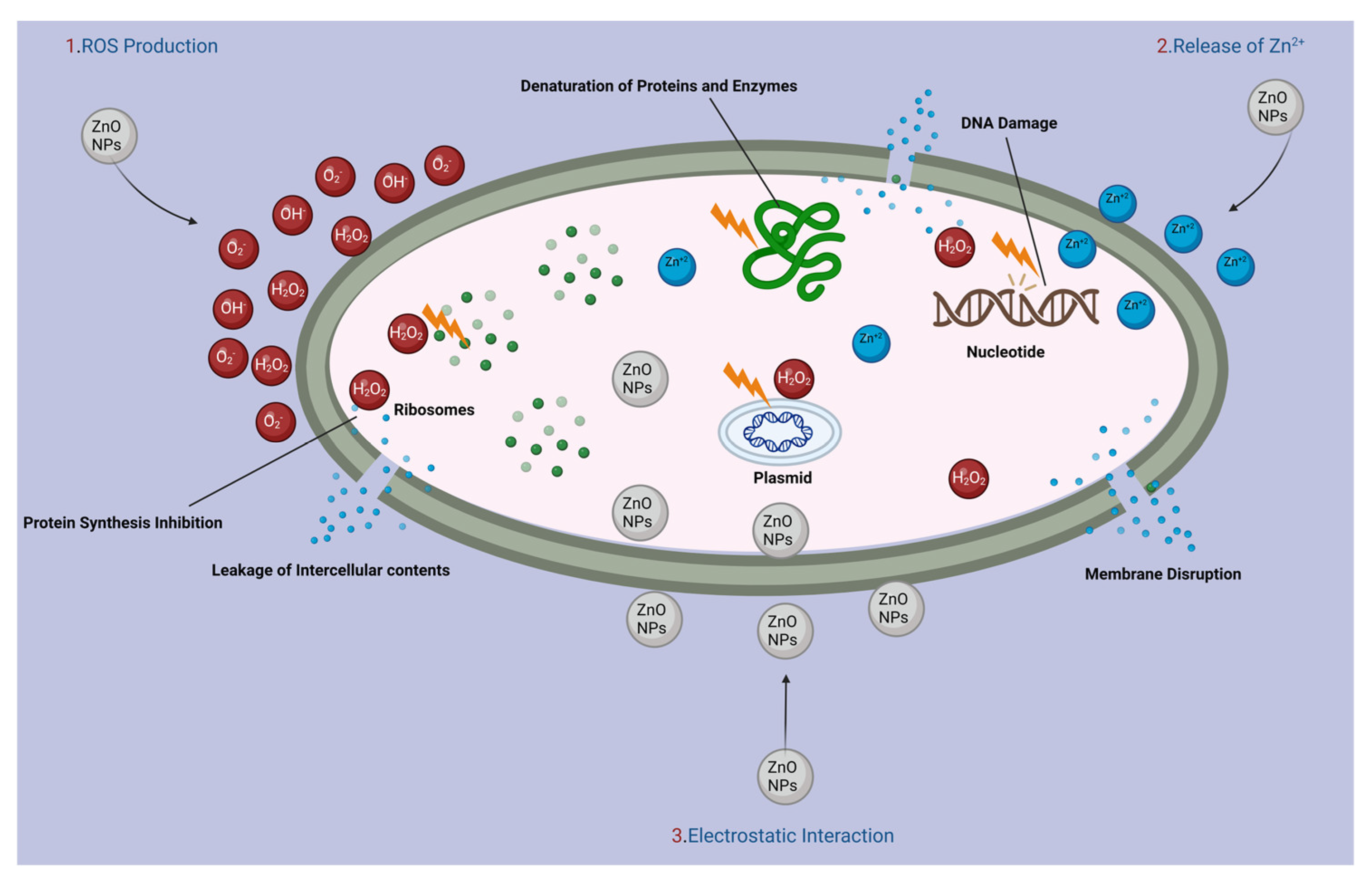 Catalysts 13 00900 g013 Catalysts 13 00900 g013