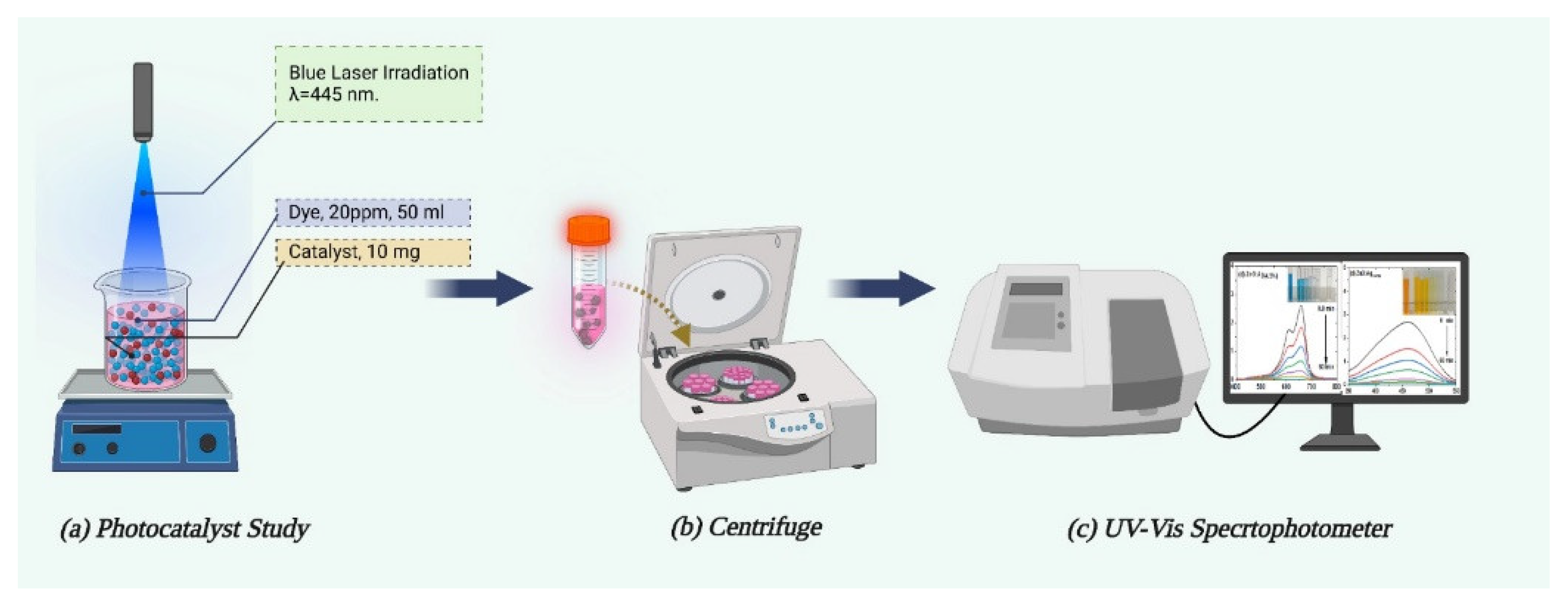 Catalysts 13 00900 g015 Catalysts 13 00900 g015