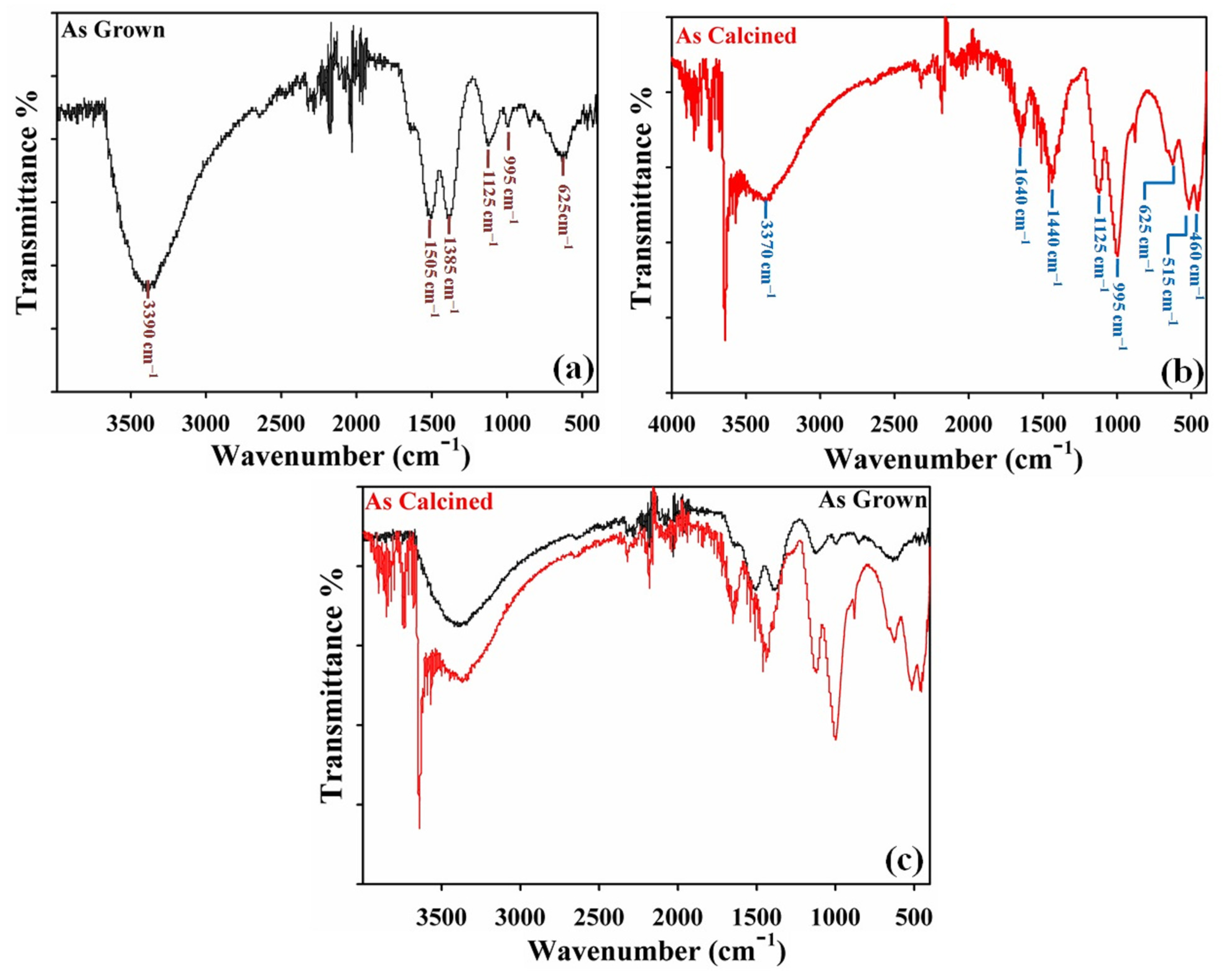 Catalysts 13 00905 g002