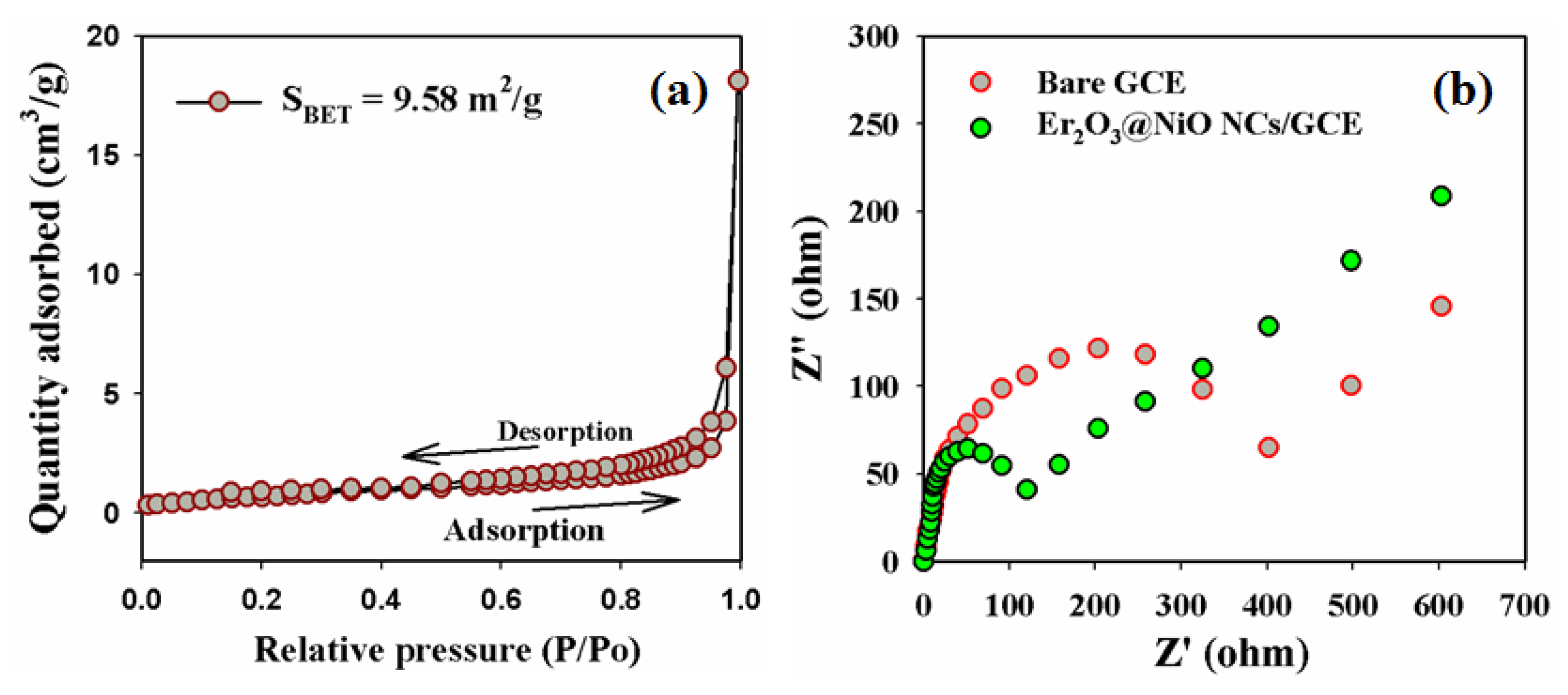 Catalysts 13 00905 g006