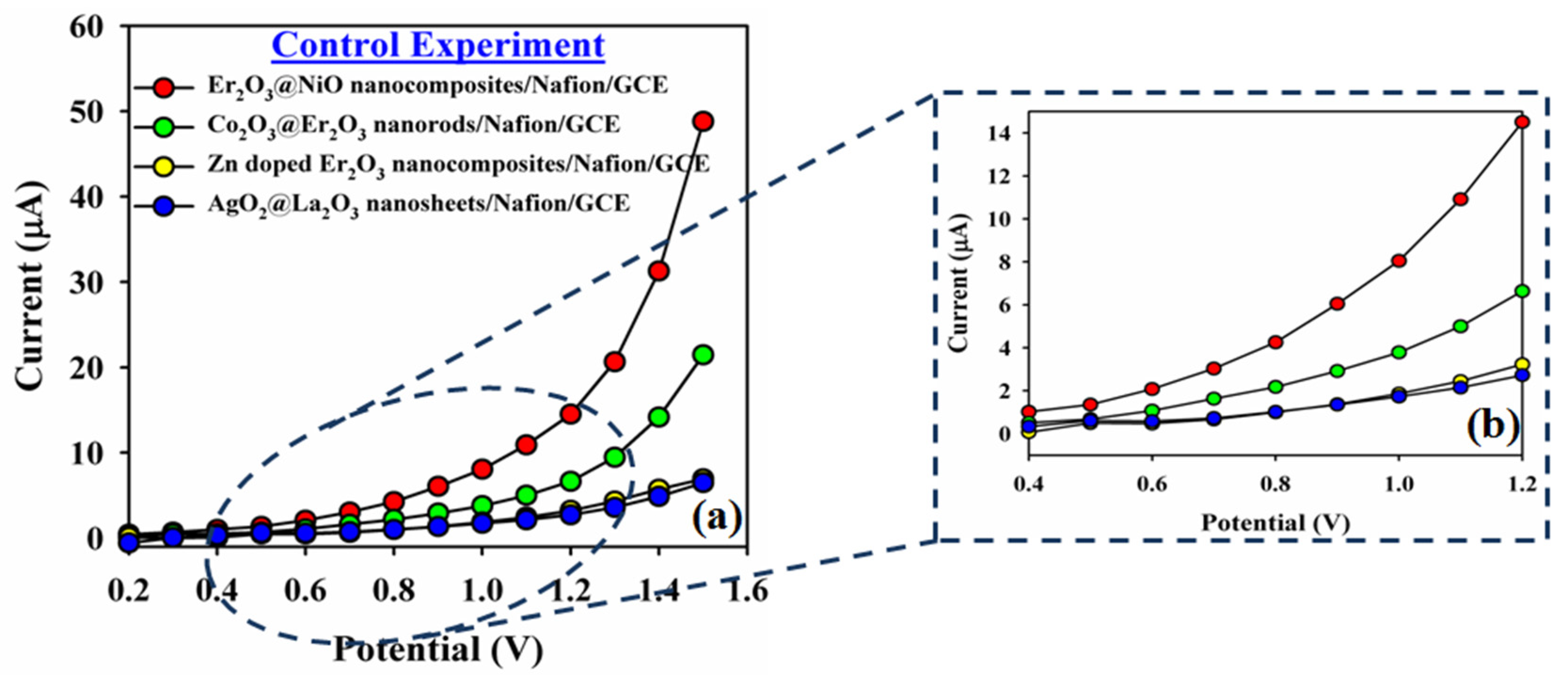 Catalysts 13 00905 g012