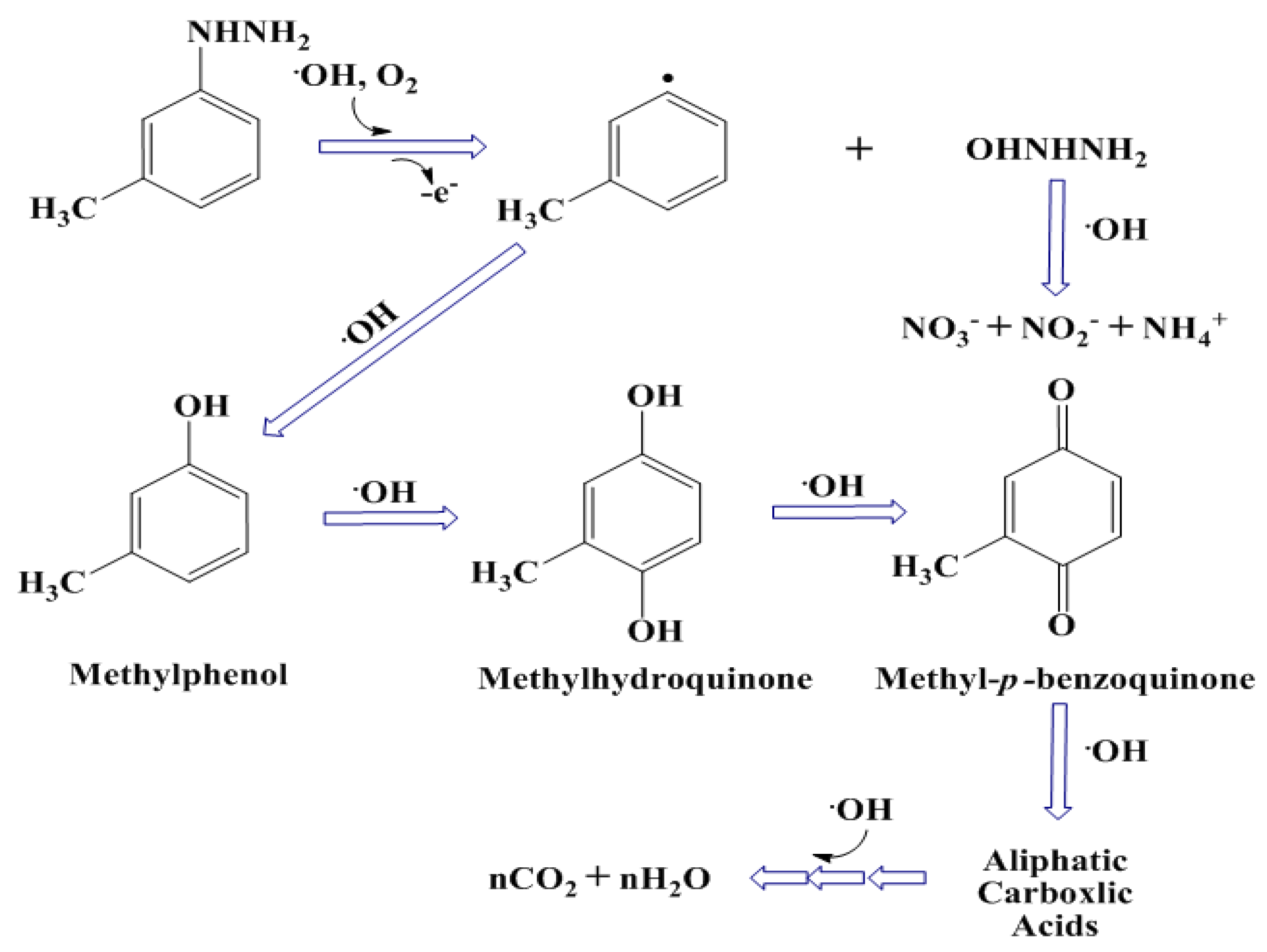 Catalysts 13 00905 sch002
