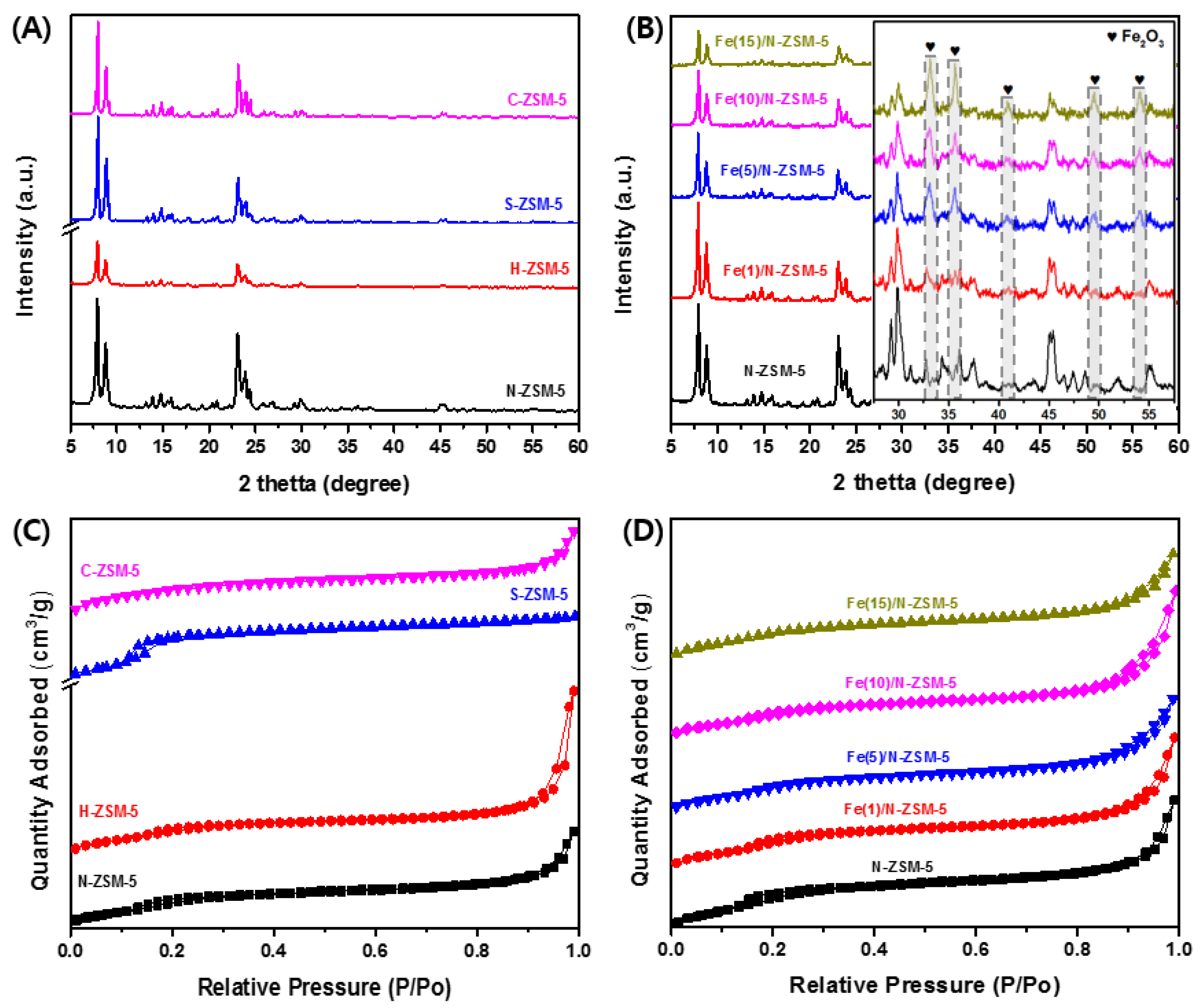 Catalysts 13 00910 g001