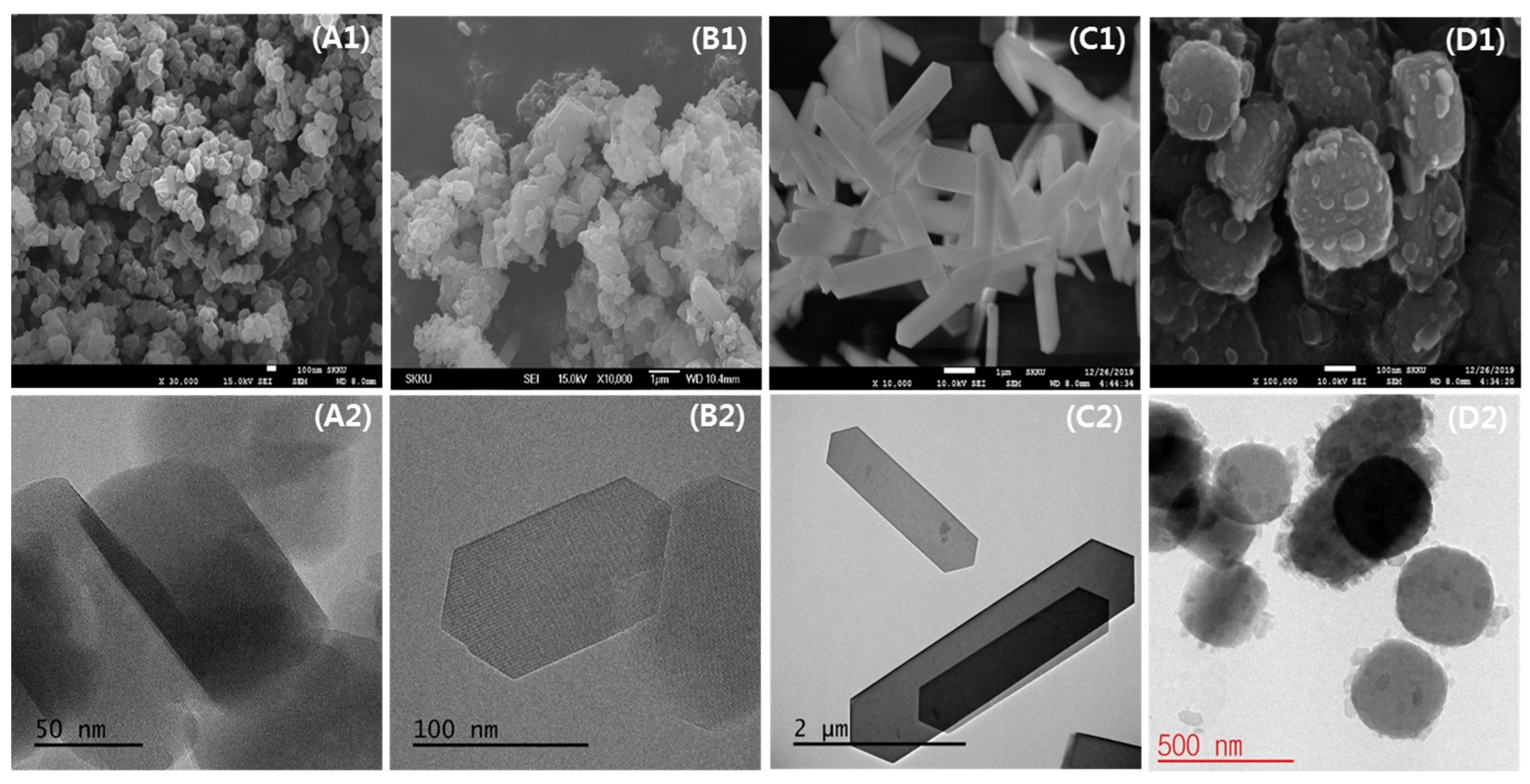 Catalysts 13 00910 g002