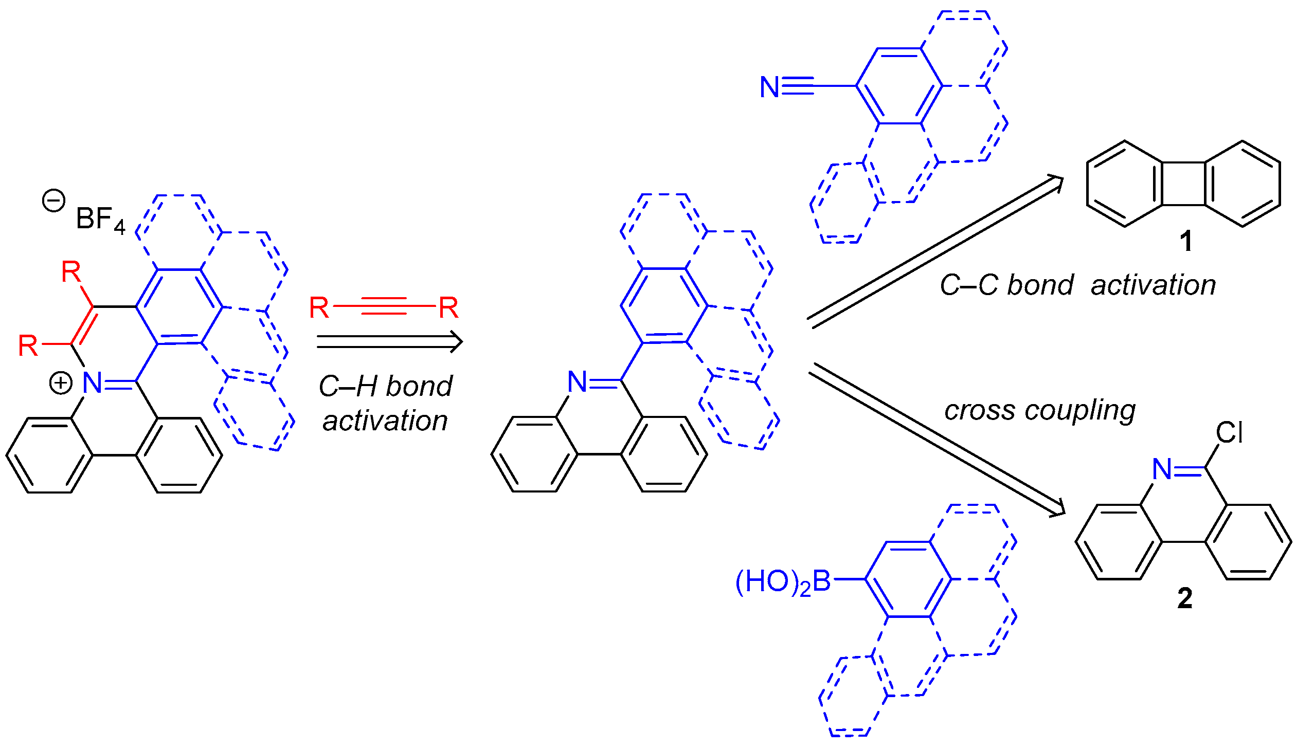 Catalysts 13 00912 sch001