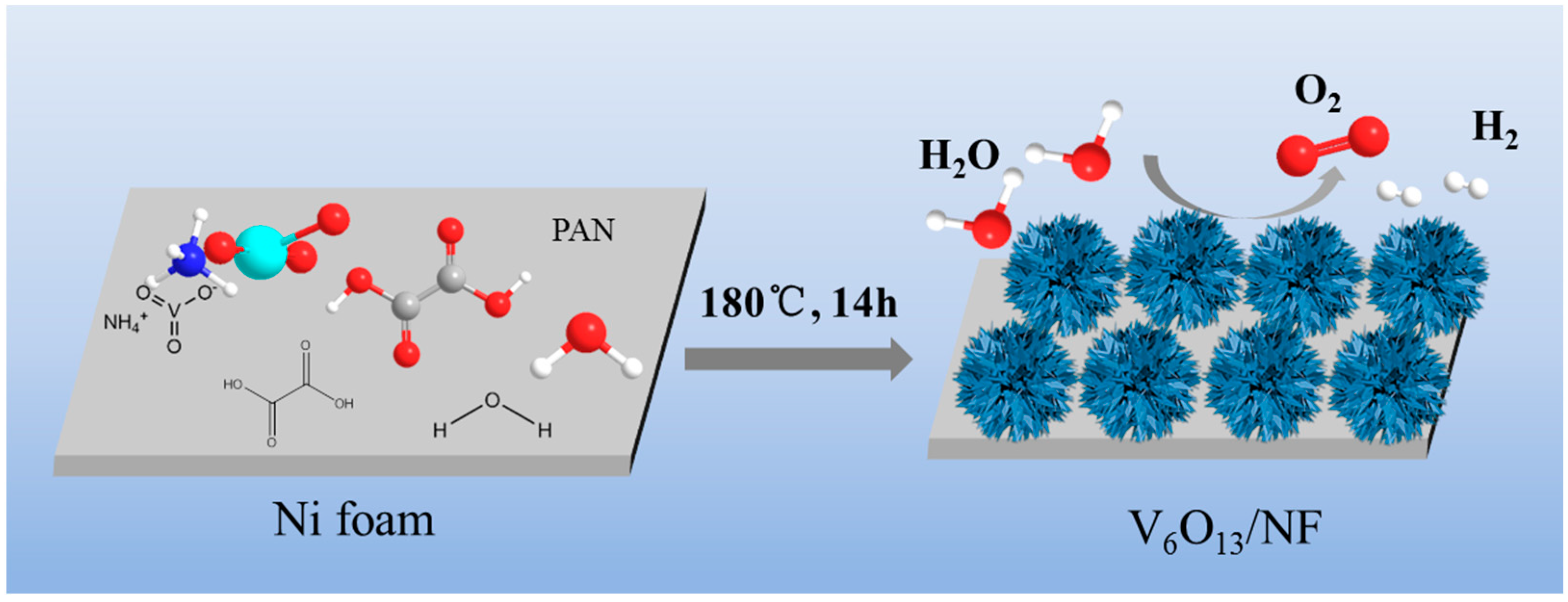 Catalysts 13 00914 g001