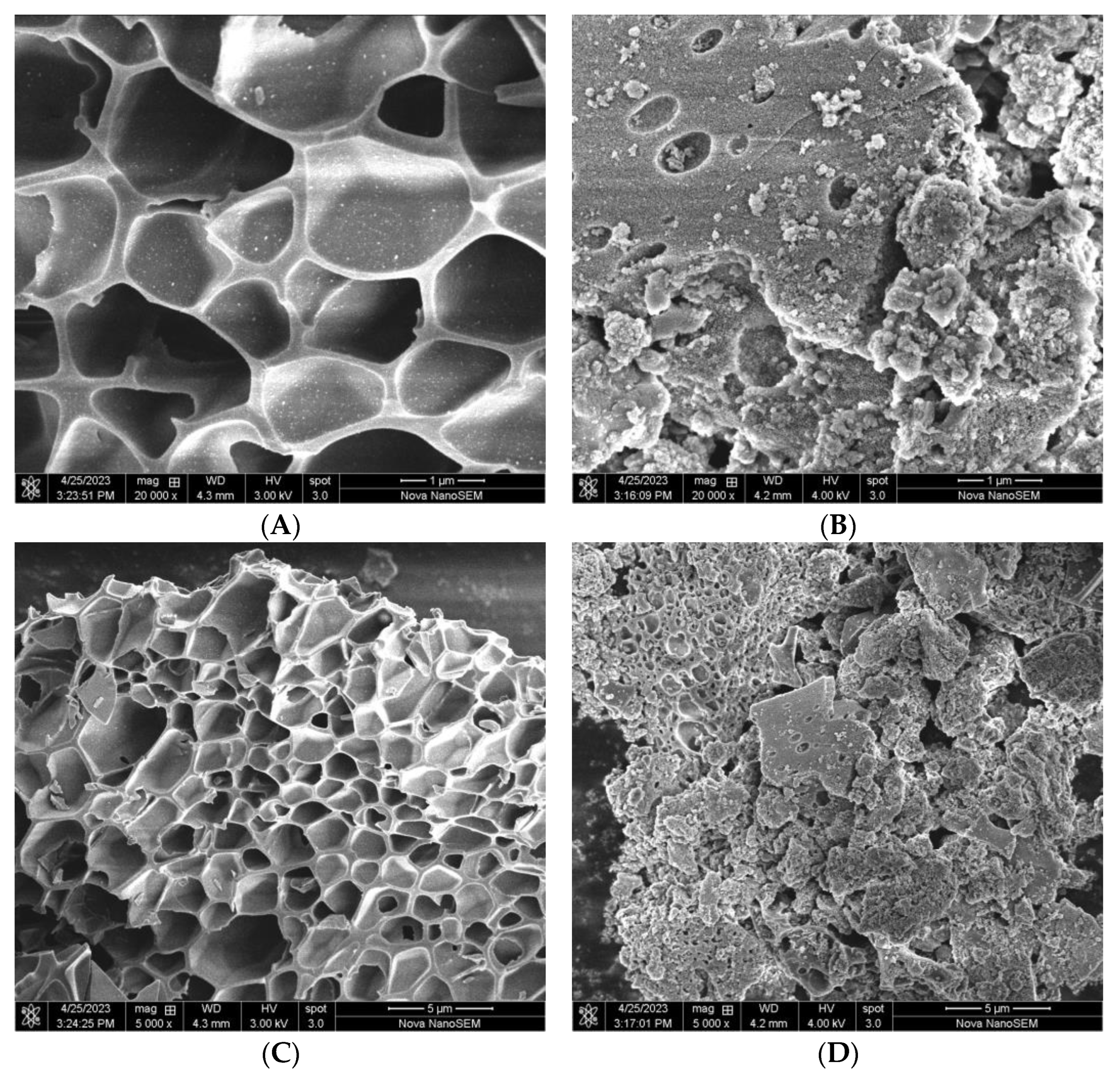 Catalysts 13 00915 g003