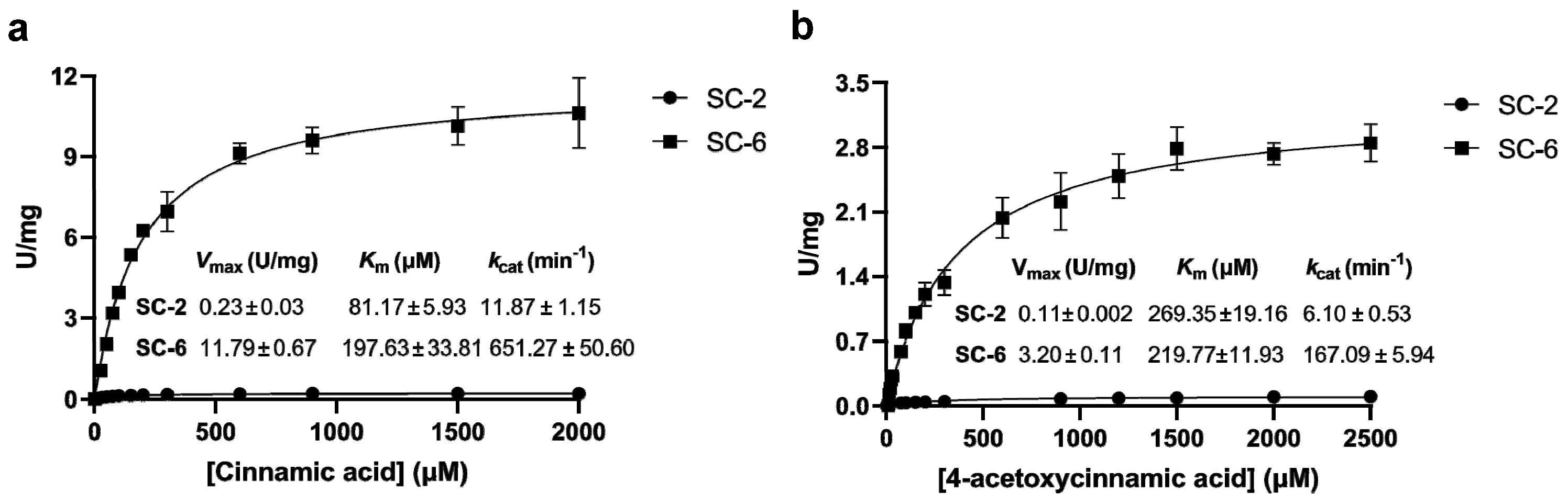 Catalysts 13 00917 g003