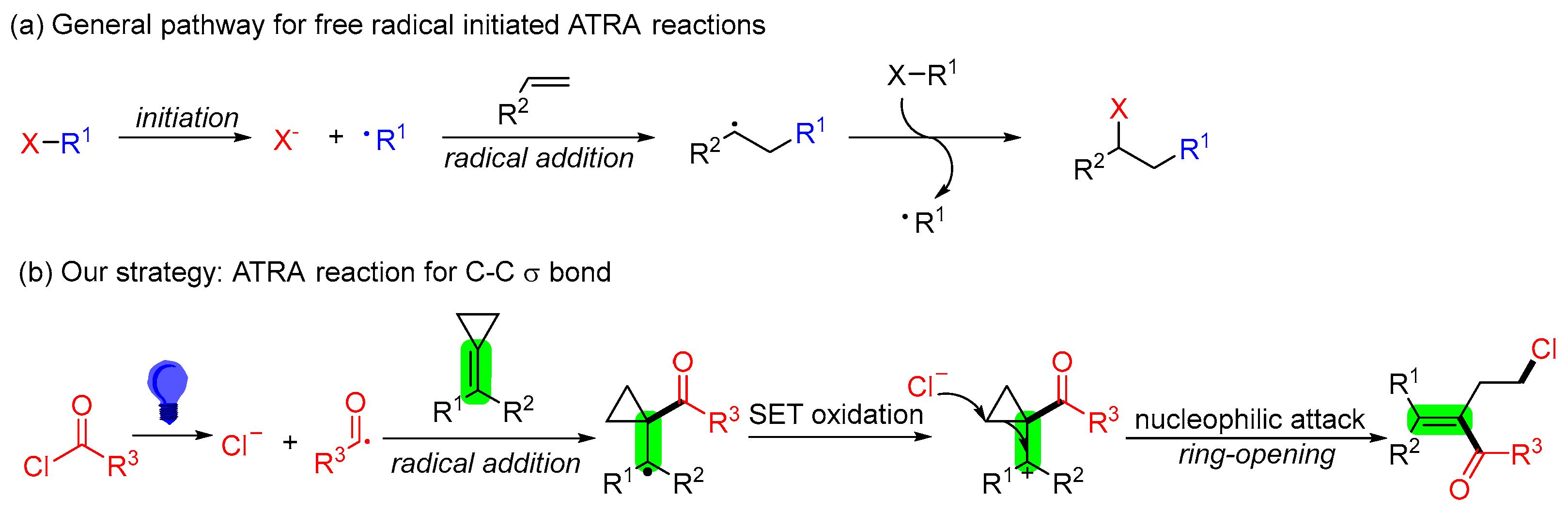 Catalysts 13 00919 sch001